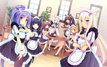 the best catgirls. prove me wrong 🥰😍 posted by oreothecatgirl