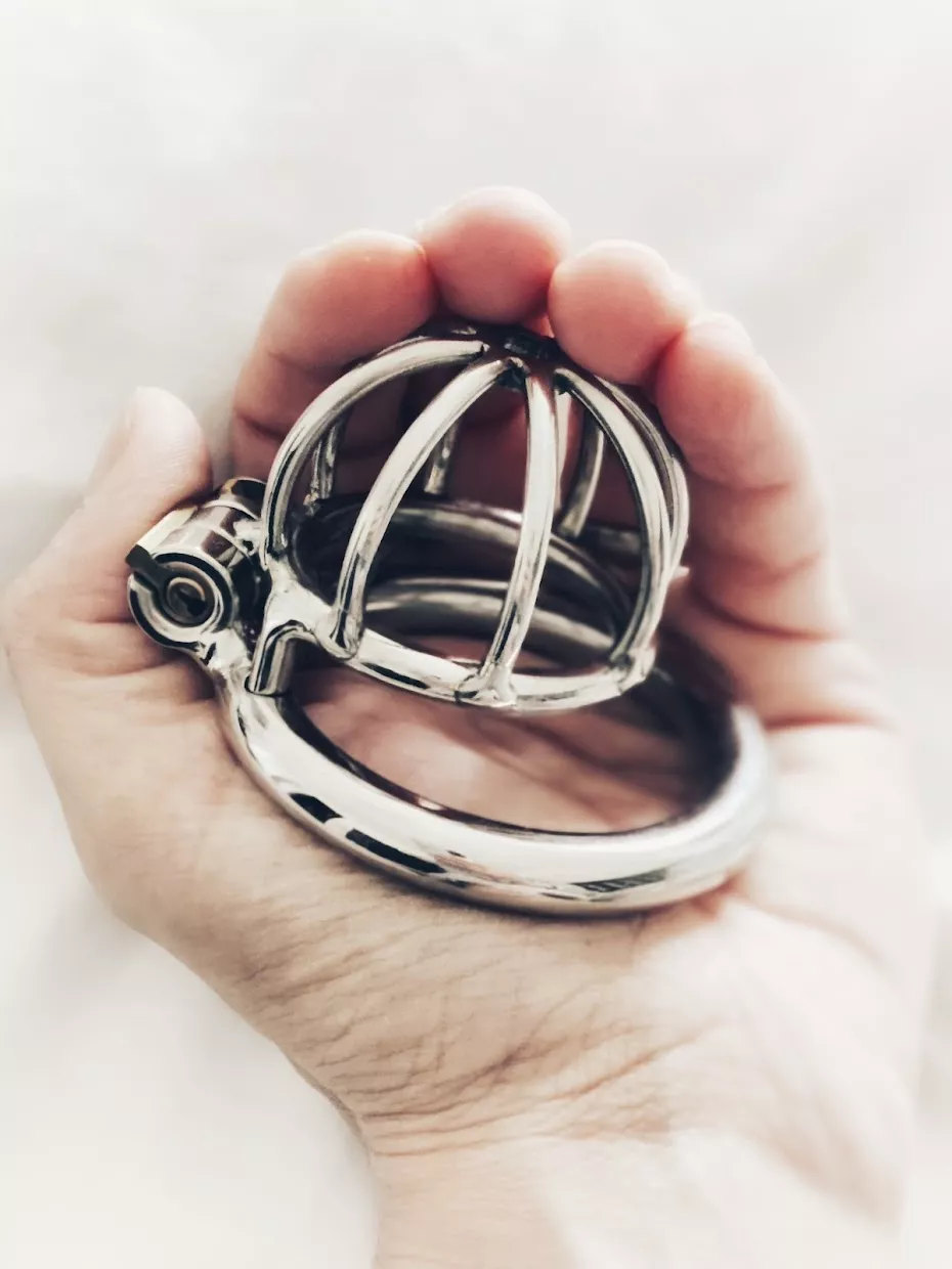 The chastity cage I gifted my husband on his last birthday. This is the beginning of a long road for him. posted by shygermanhotwifexxx