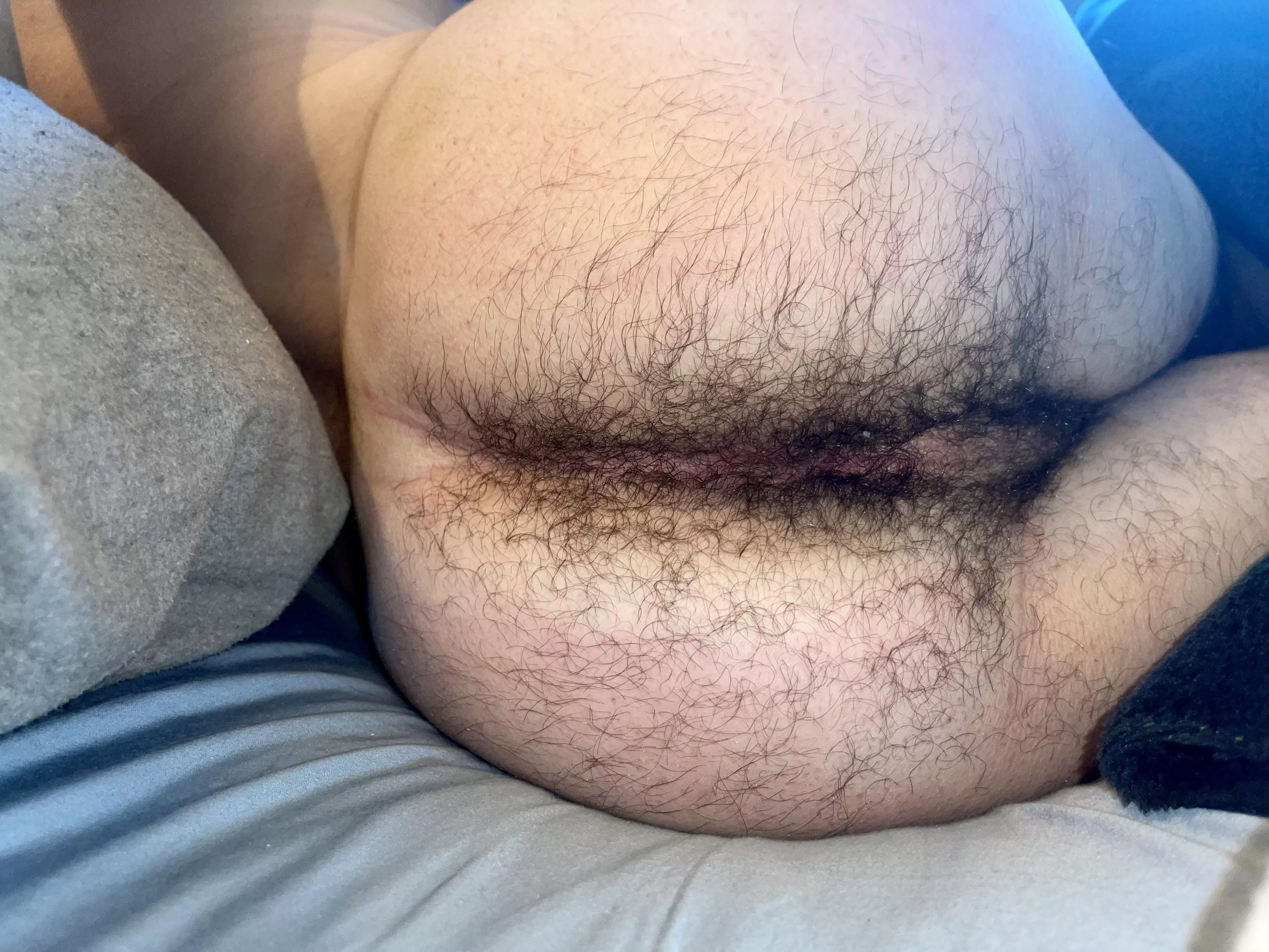 The hair keeps on growing. Cant wait for it to fully cover my ass. posted by undonenone