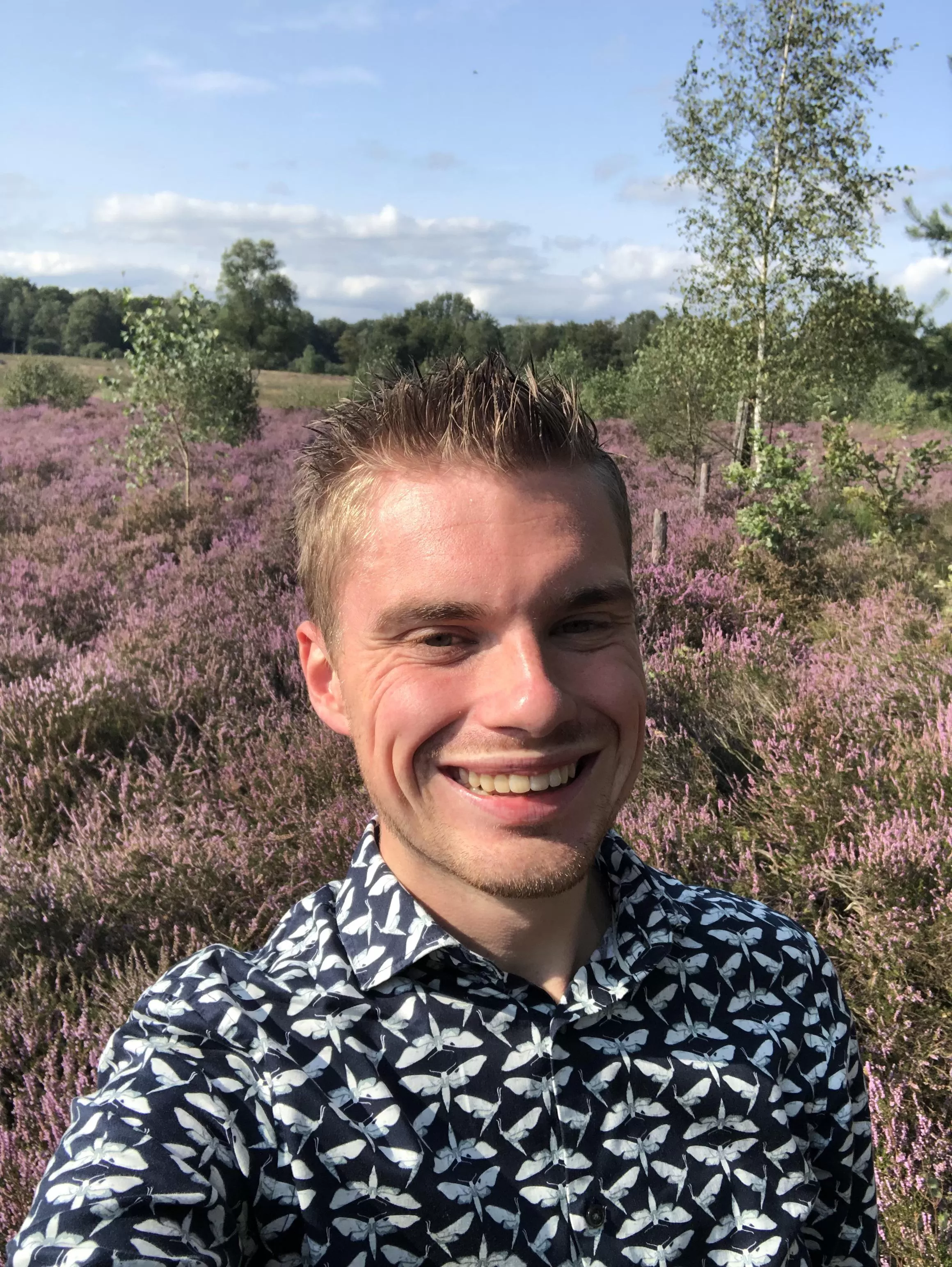 The heather fields are flowering and it is so gorgeous! posted by Taraxabus