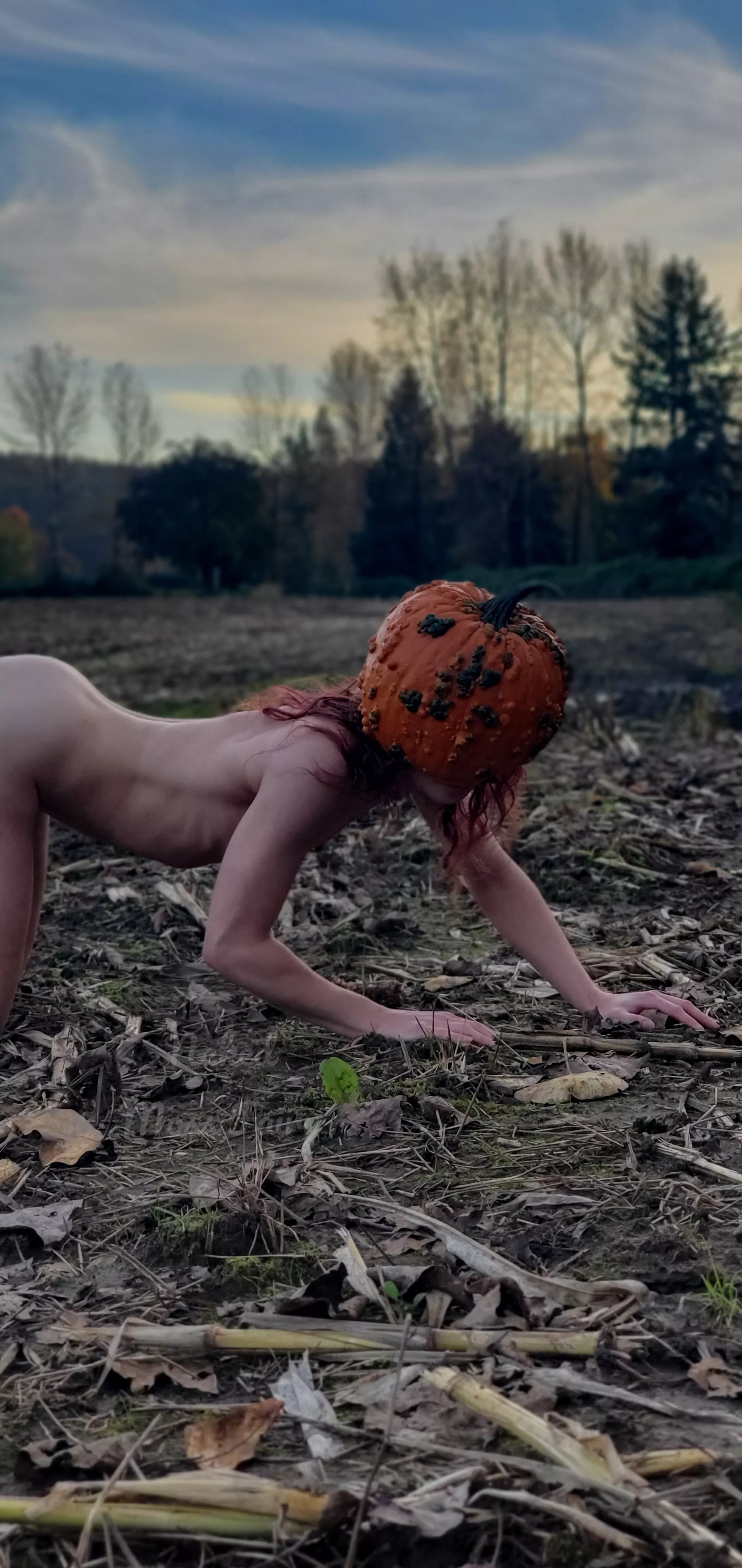 The last pumpkin in the patch🎃😈 posted by NakedMossFairy