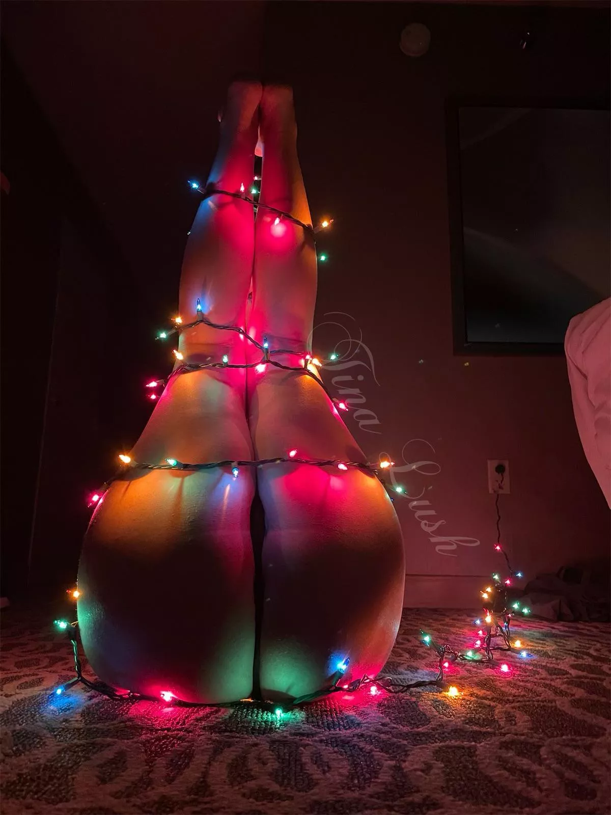 The perfect Christmas tree 🎄 [image] posted by tinalush