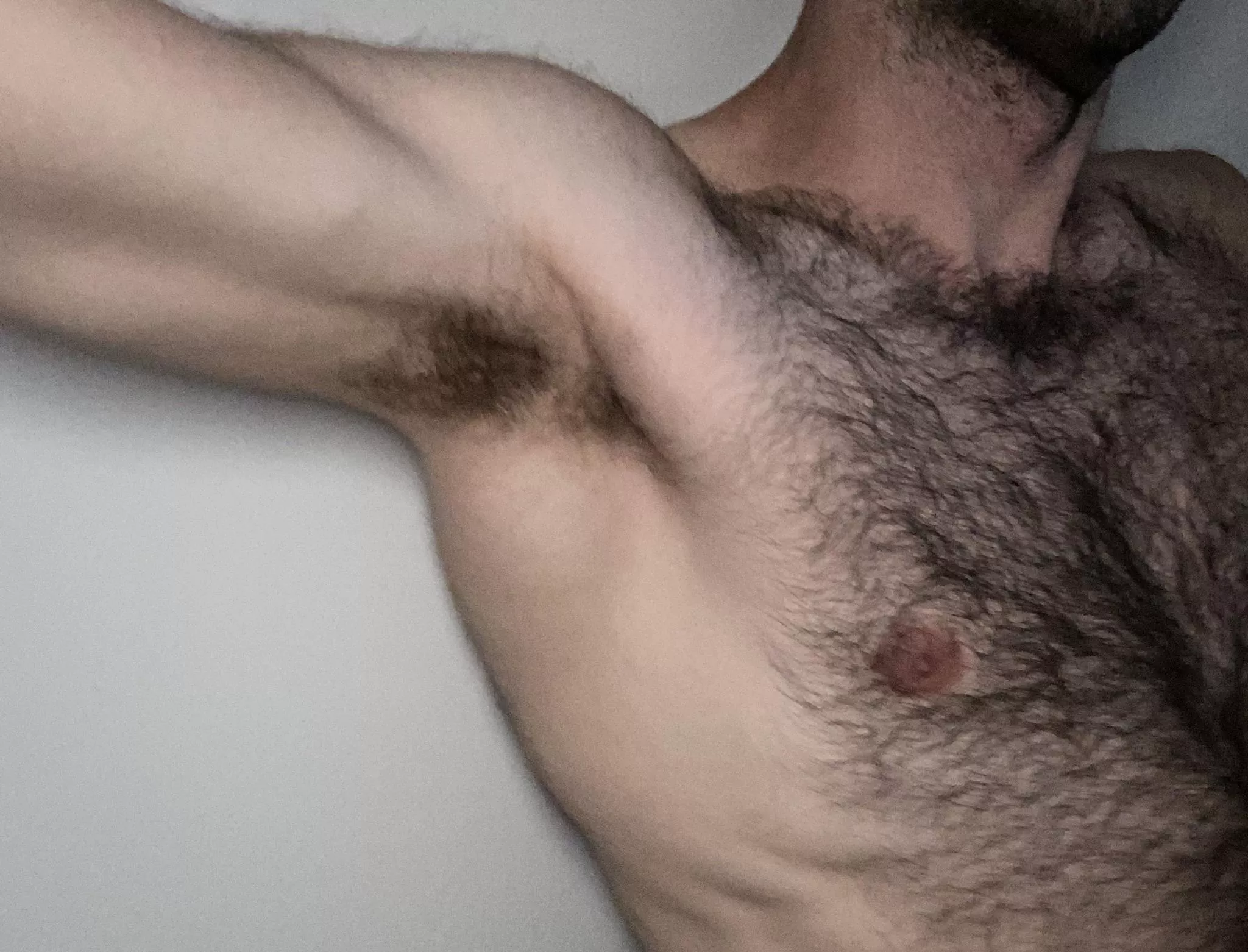 The pits aren’t the only part that’s hairy posted by hrnyotterbtm