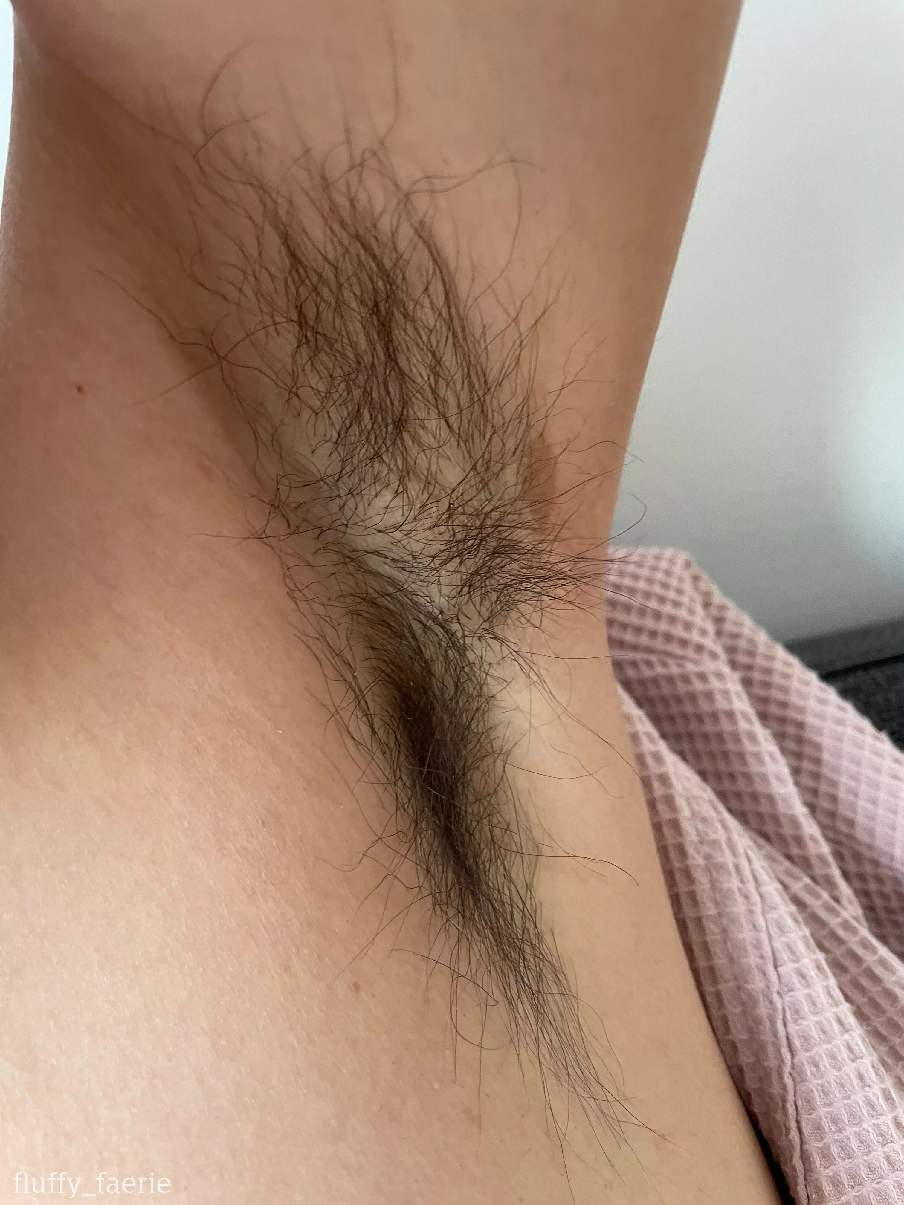 The shape of my armpit hairs 🧚‍♀️ posted by fluffy_faerie