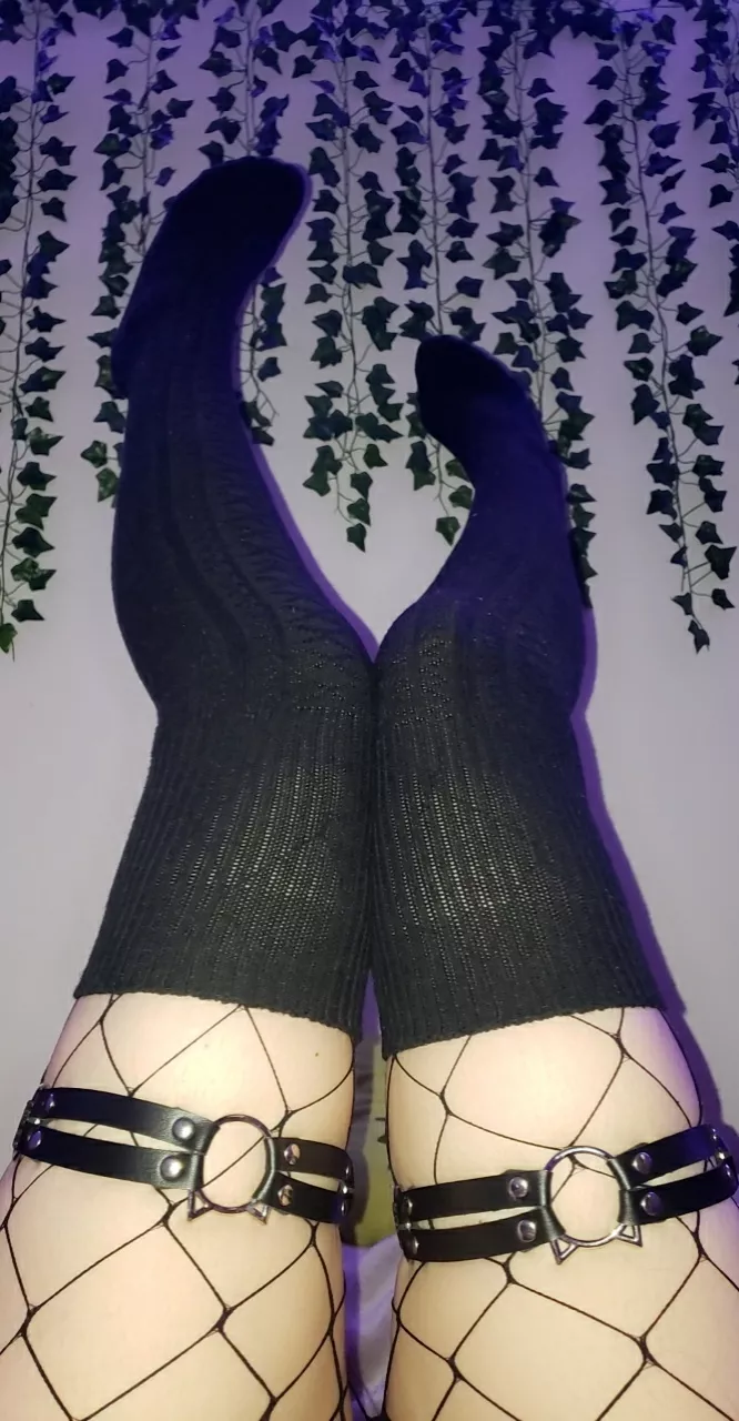 The socks, fishnets, and kitten garters stay ON during sex~ ðŸ˜ˆðŸ–¤ posted by jadeondiscord