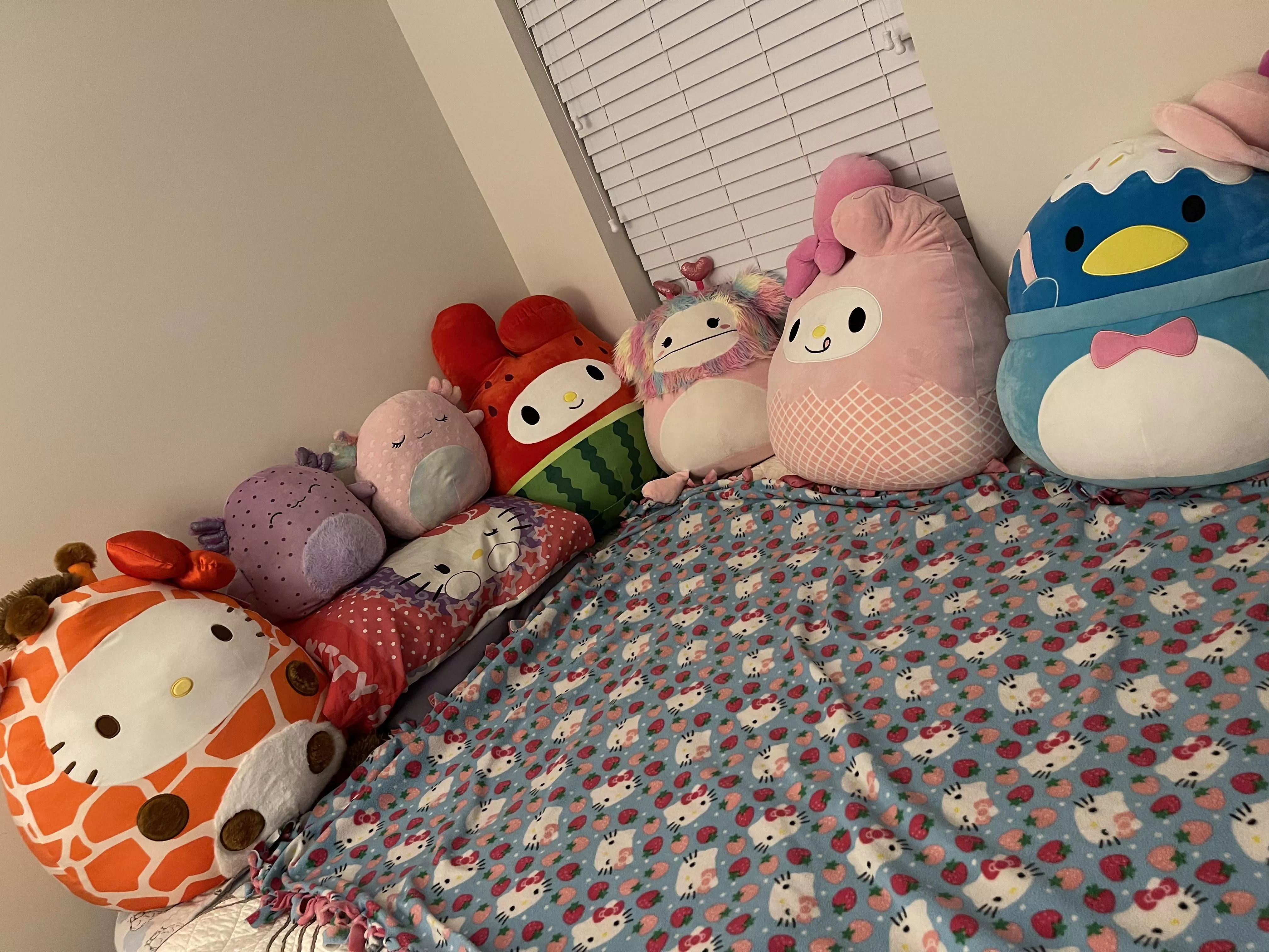 The squishies are taking over 😳 Just missing a Daddy to snuggle with 🥺 posted by xohellokitten