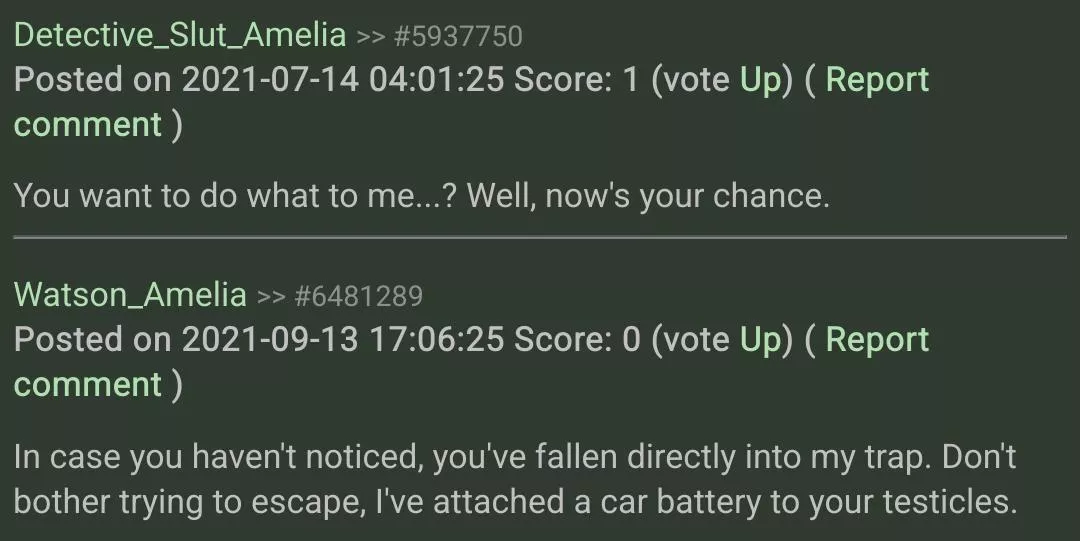 The two types of rule34 commenters posted by paletantan