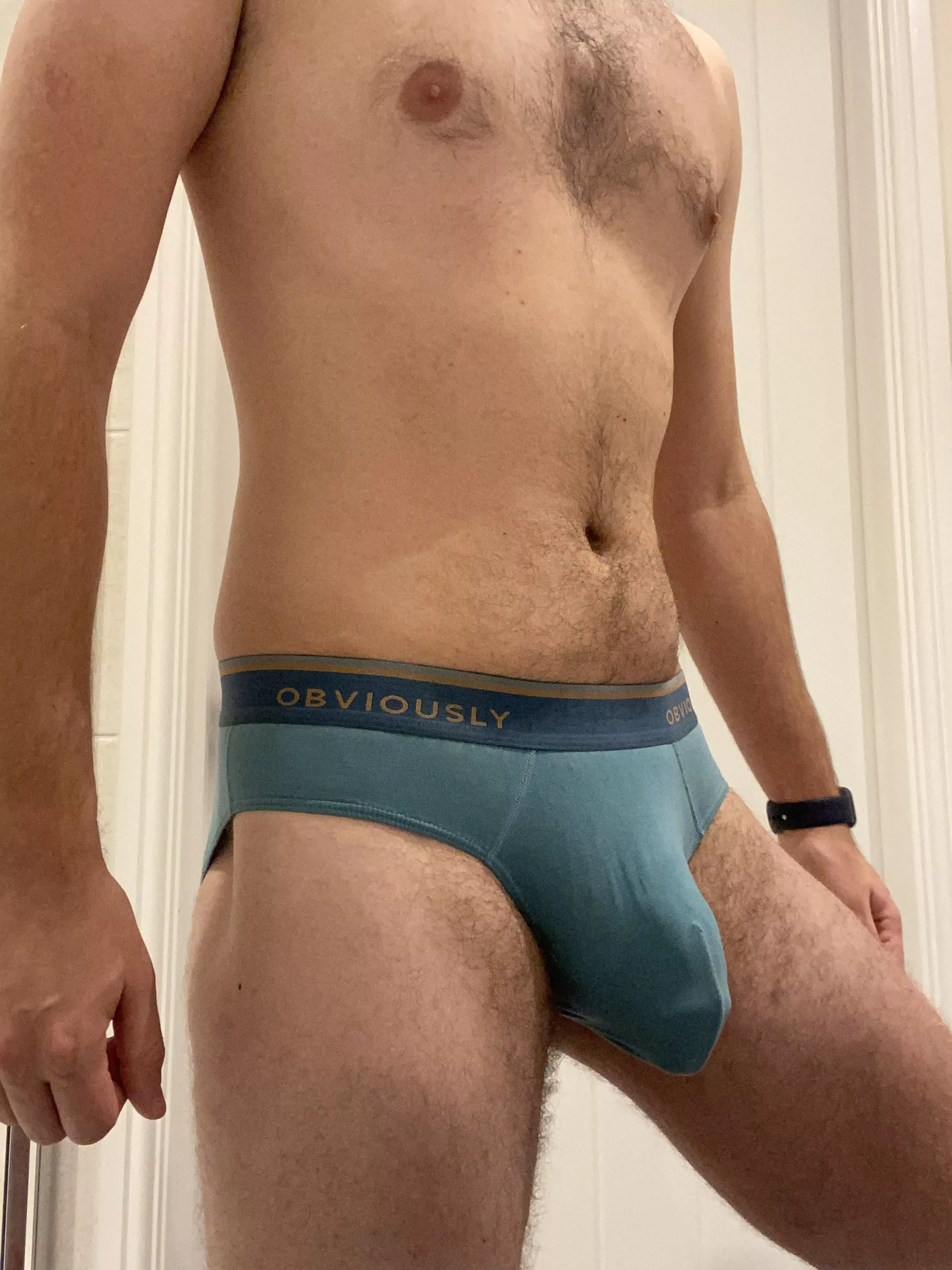 These briefs “obviously” fit well, right? posted by showergreener