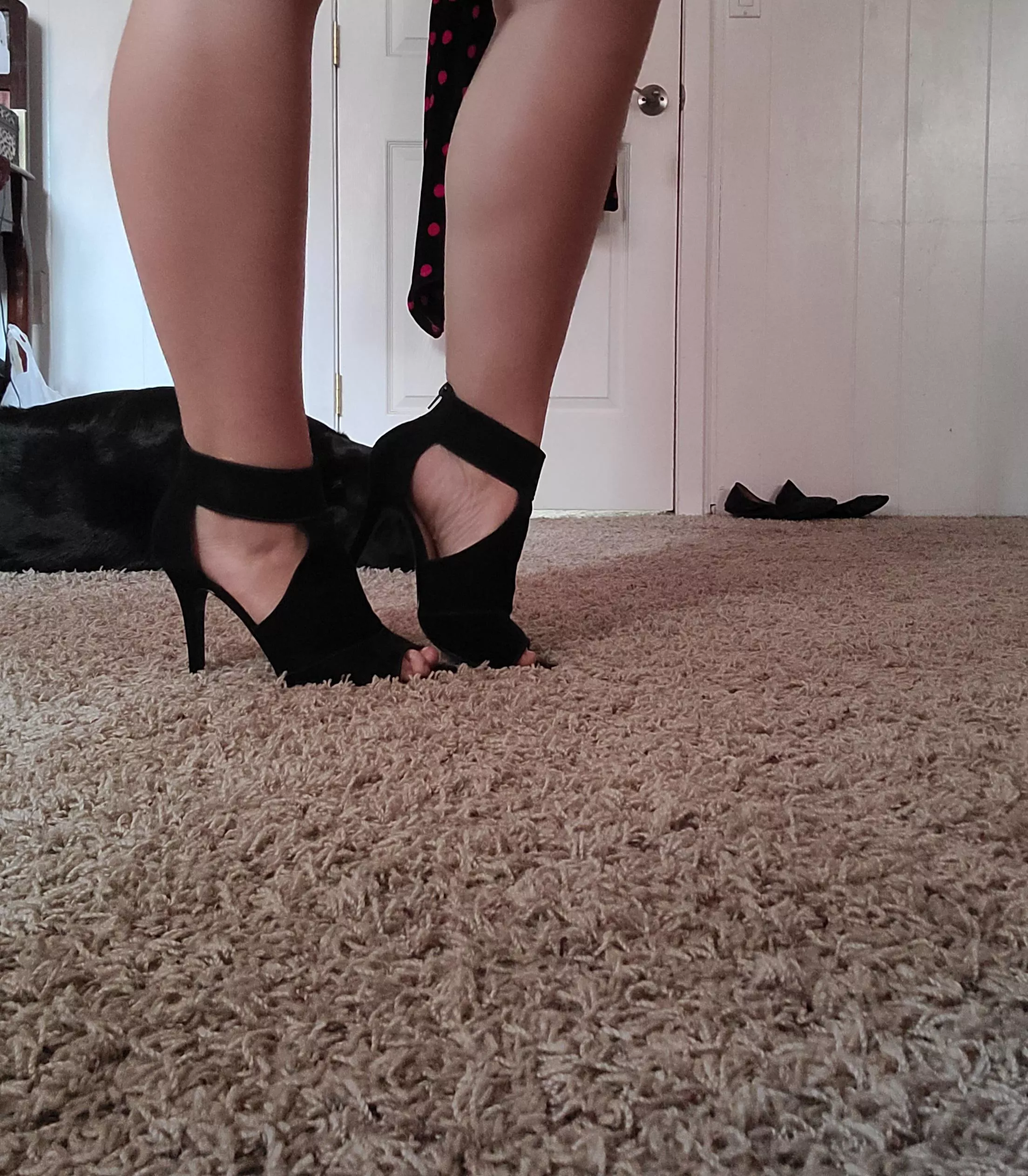 These heels make me feel amazing! posted by Traditional_Willow36