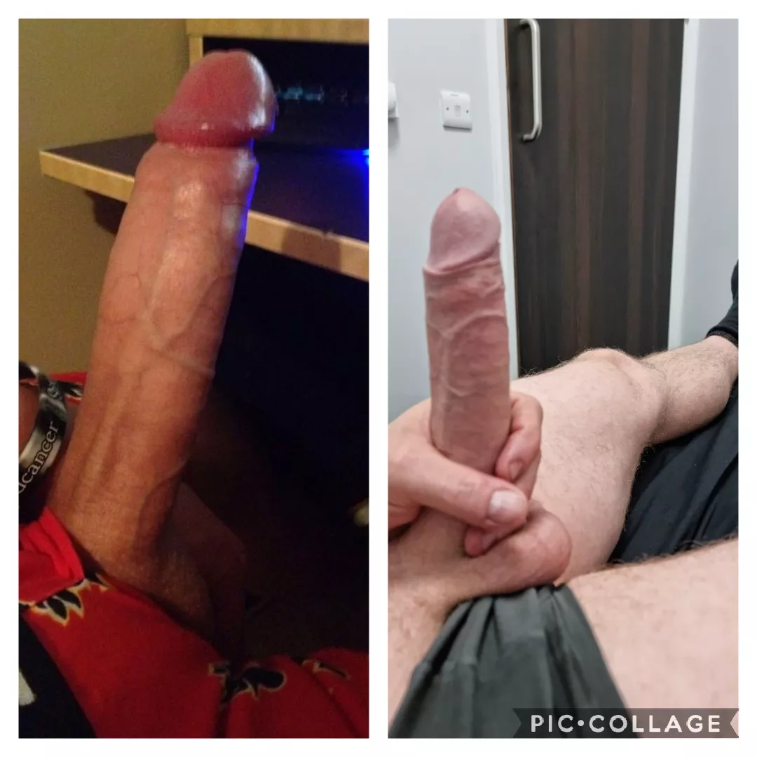 This guy on the left reckons my GF would love his cock. I think mine on the right gives him a run for his money. What do you think? posted by SurroundRoyal4882