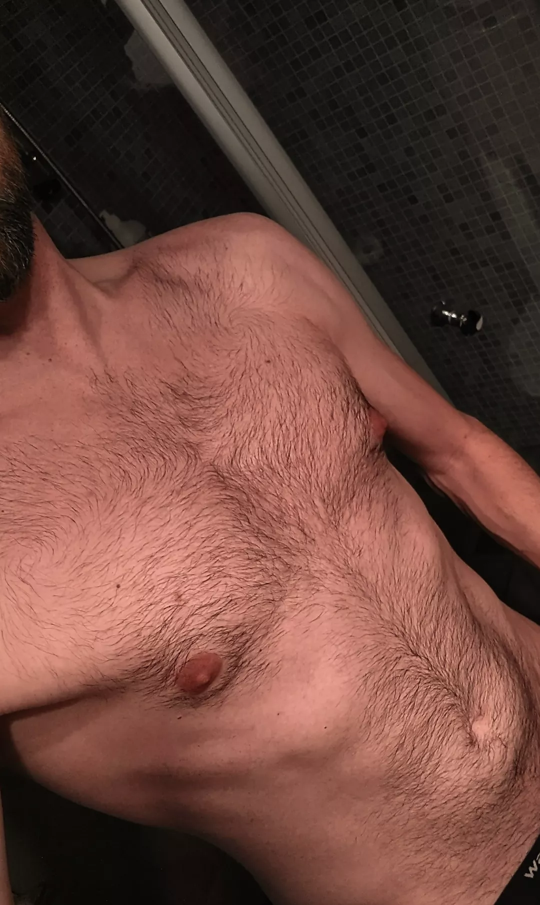 This is my chest, I don't know if it's the best. But I thought I'd share with you all, hopefully it doesn't appall. So please enjoy my hairy tits, can't think of another good rhyme so I'll just call it quits. Peace ✌️ posted by FlawlessLemur