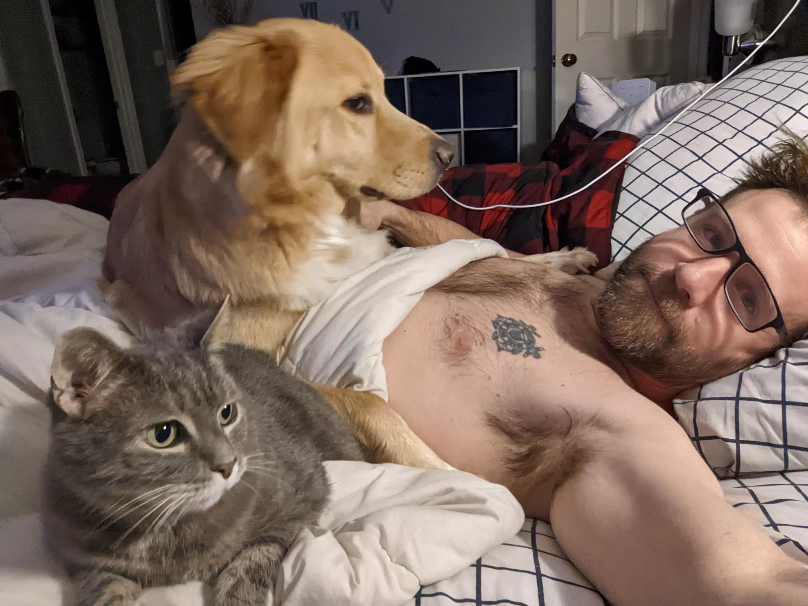 This is my typical morning. They both have to be touching me at all times while am in bed posted by cspung74