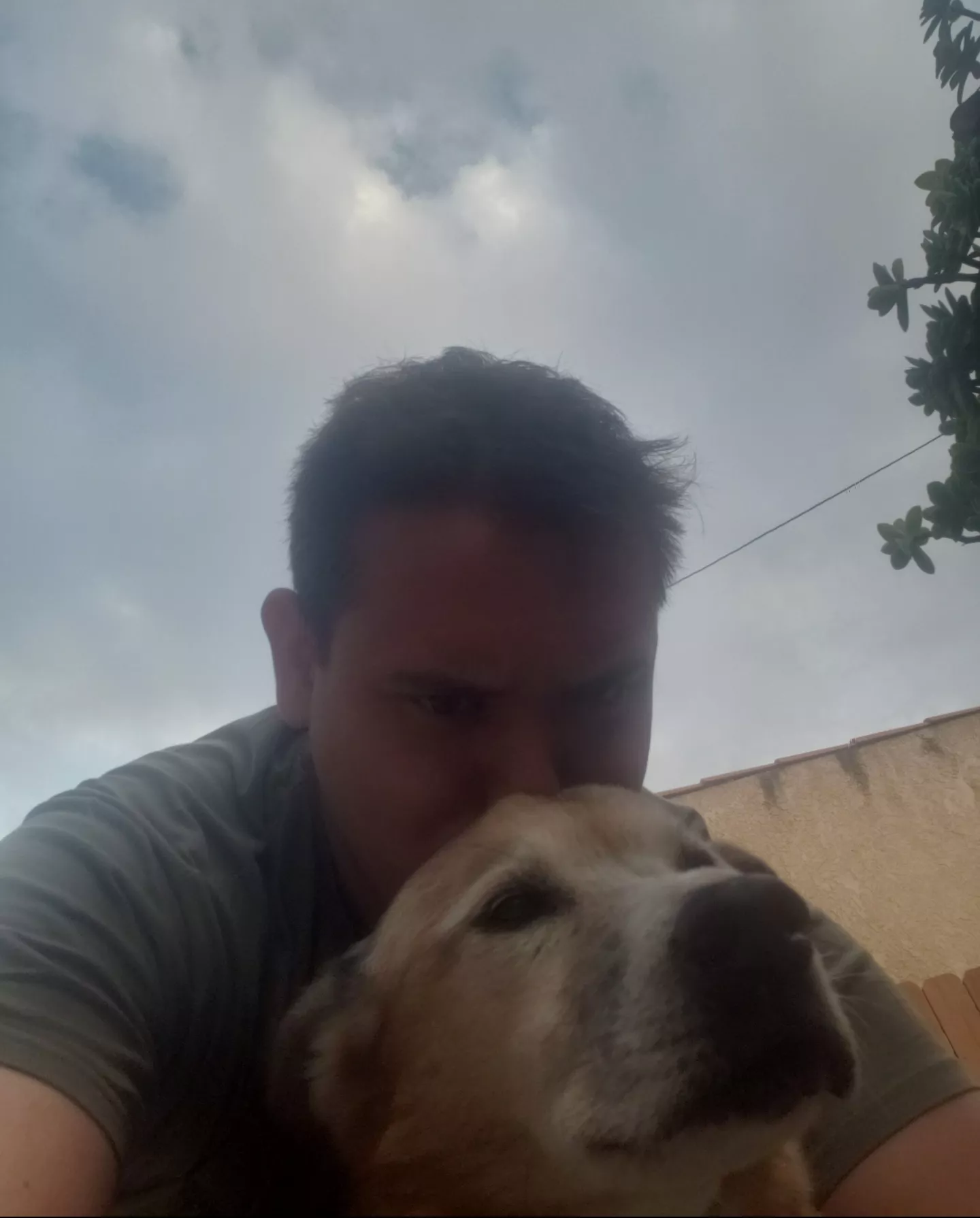 This old man is turning 19 this year, he's helped me through tough breakups and raid wipes and everything in between. Send his little legs some love. posted by Kdog12196