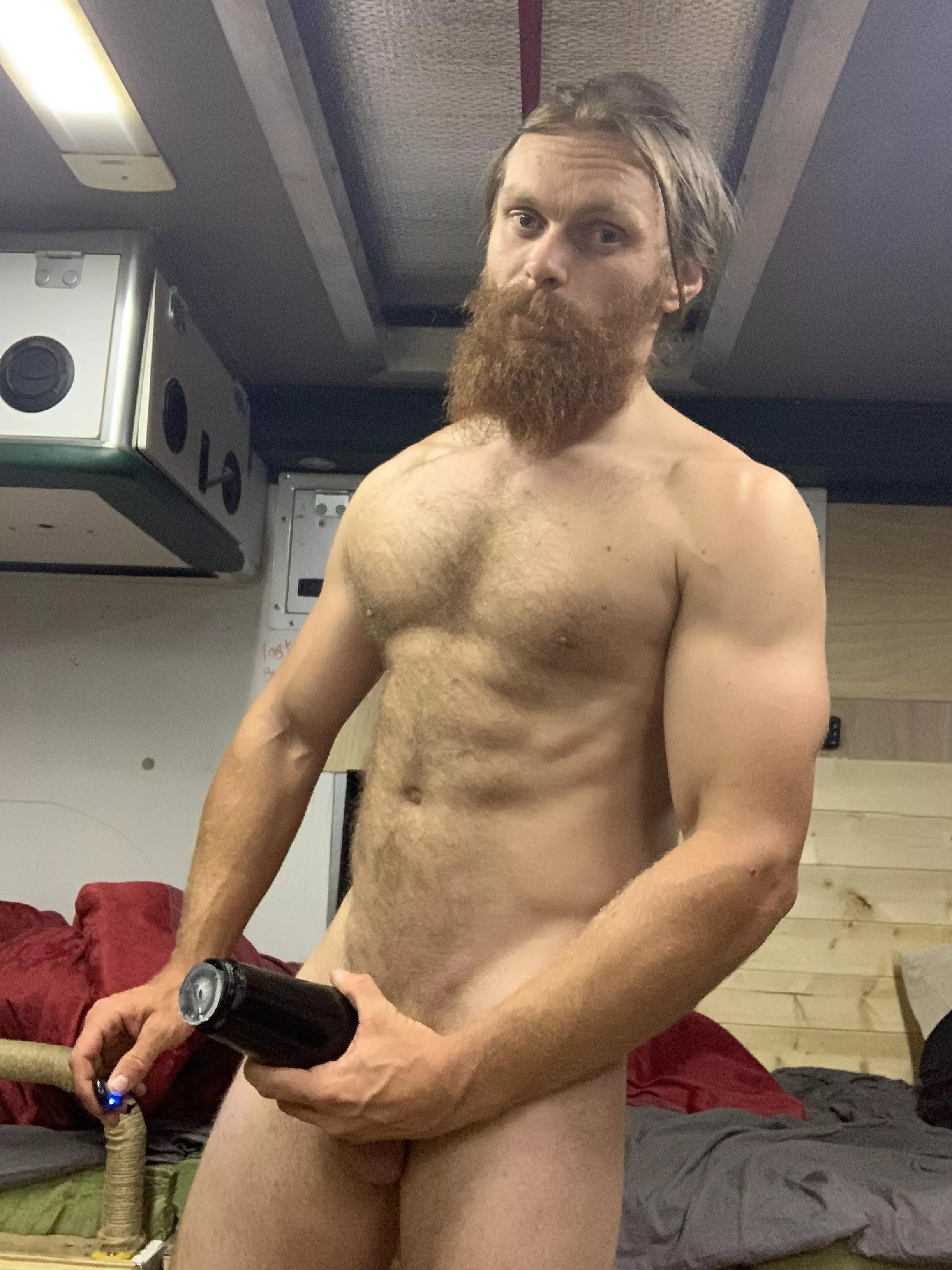 This Viking discovered a new toy posted by Bruce494