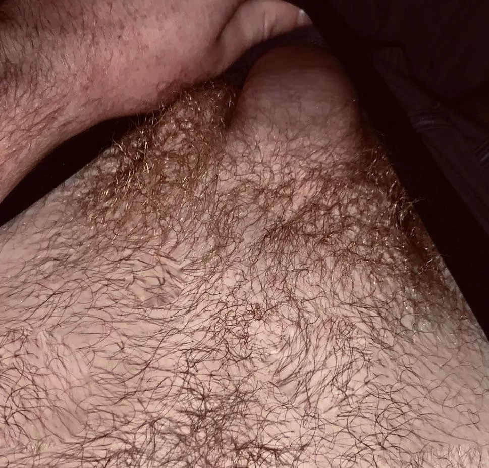 Thought I’d post the bush before I trim it🧔🏻‍♂️ (M20) posted by _dawgiestyle_