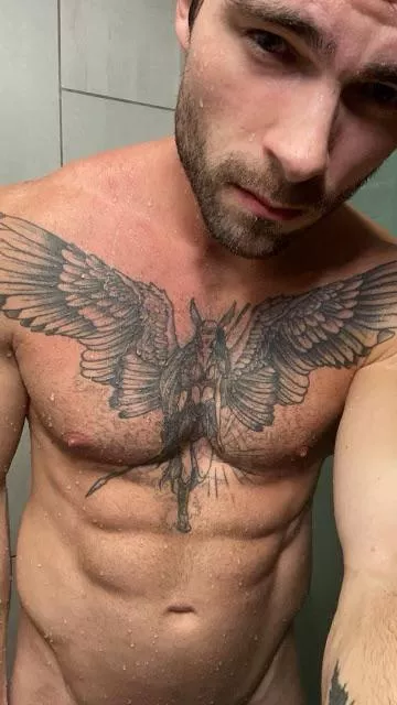 Thoughts on the chest piece ? posted by kinkybradpitt