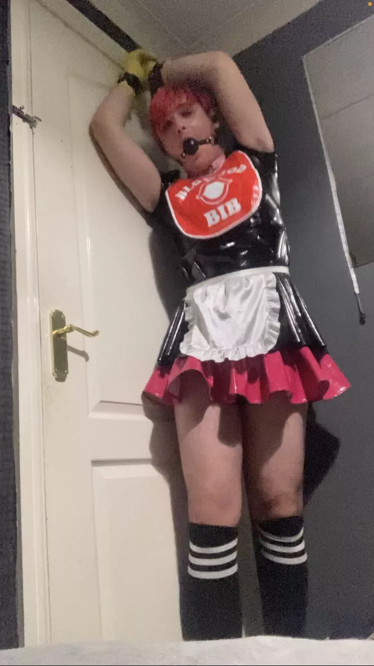 Tied up, caged, plugged, gagged, and in a humiliating outfit, humiliate and caption this little sissy maid! posted by Bitter-Drag3812