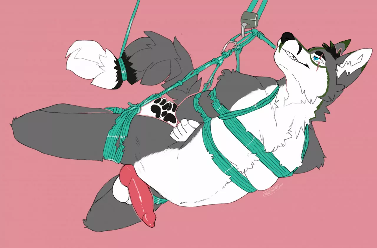 Tied Up (JeanWoof) posted by DL2828