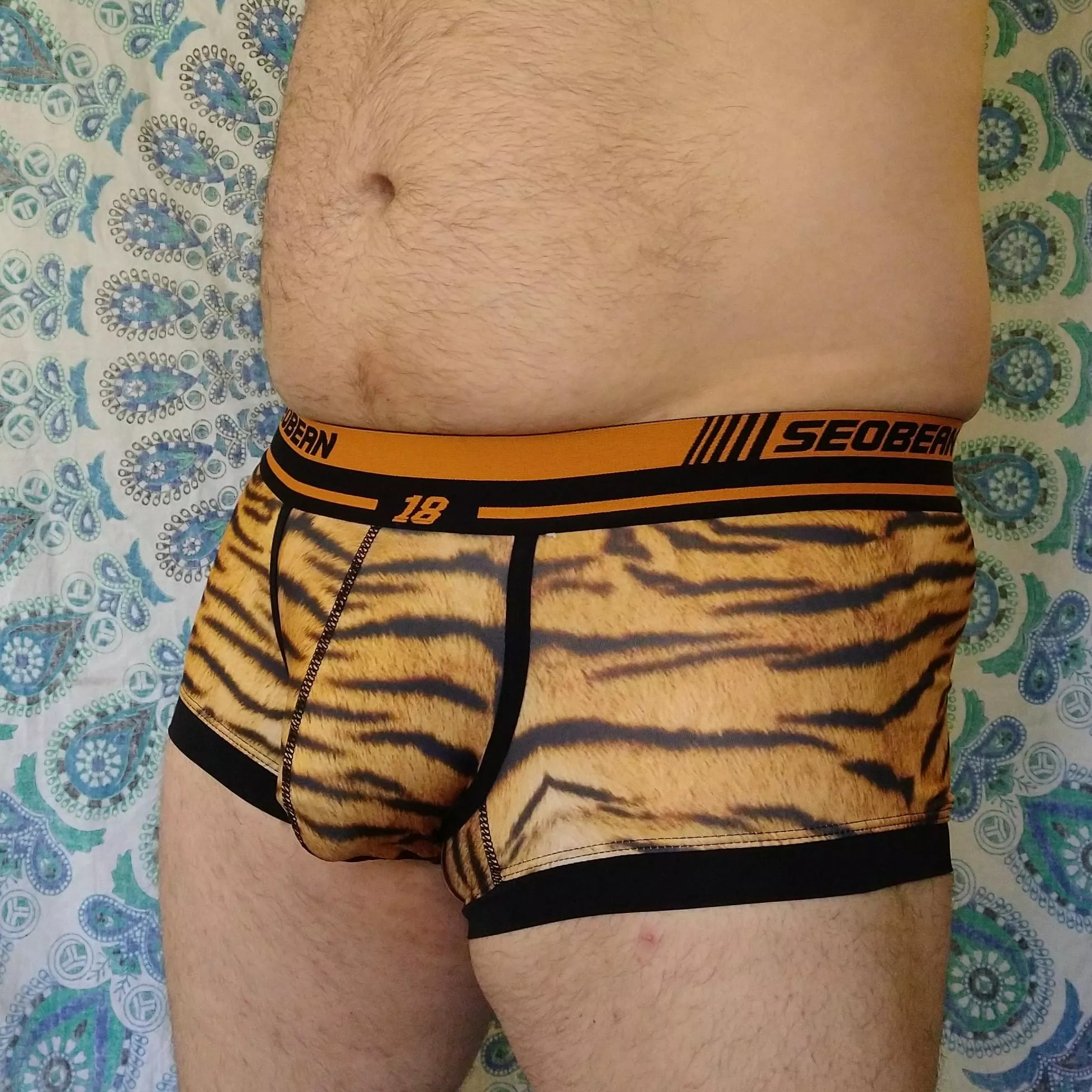 Tiger dadbod bulge, want to pet it? posted by Xander6942