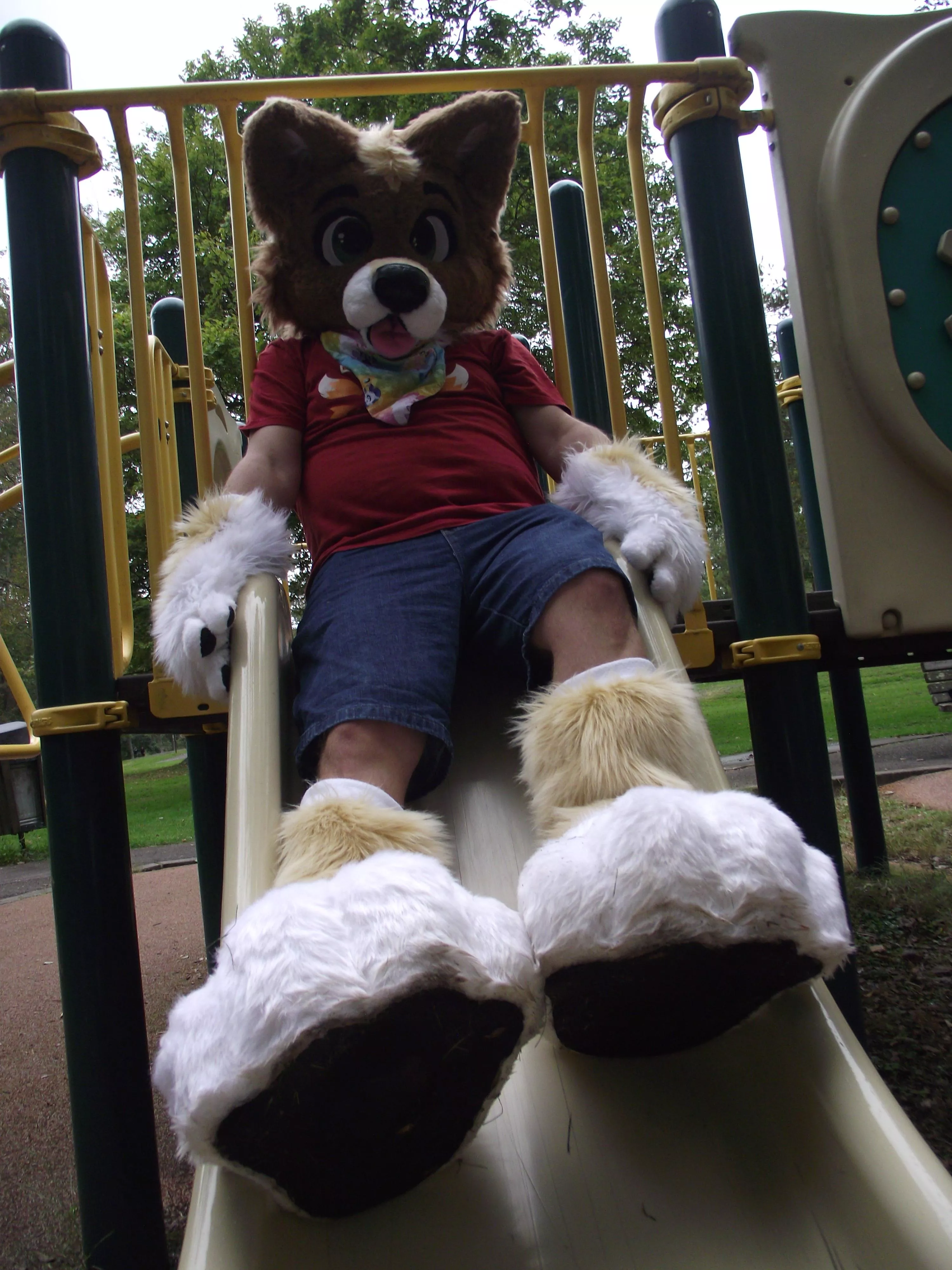 Time to slide into Fursuit Friday! Pic taken by Icywaterpupper posted by magicoyote1