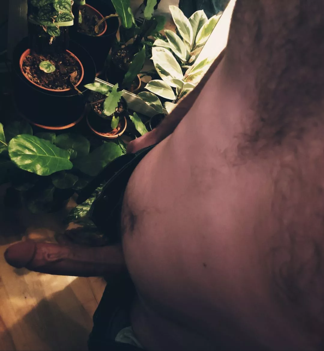 Time to tend to the plants posted by Gingerrrrbeard