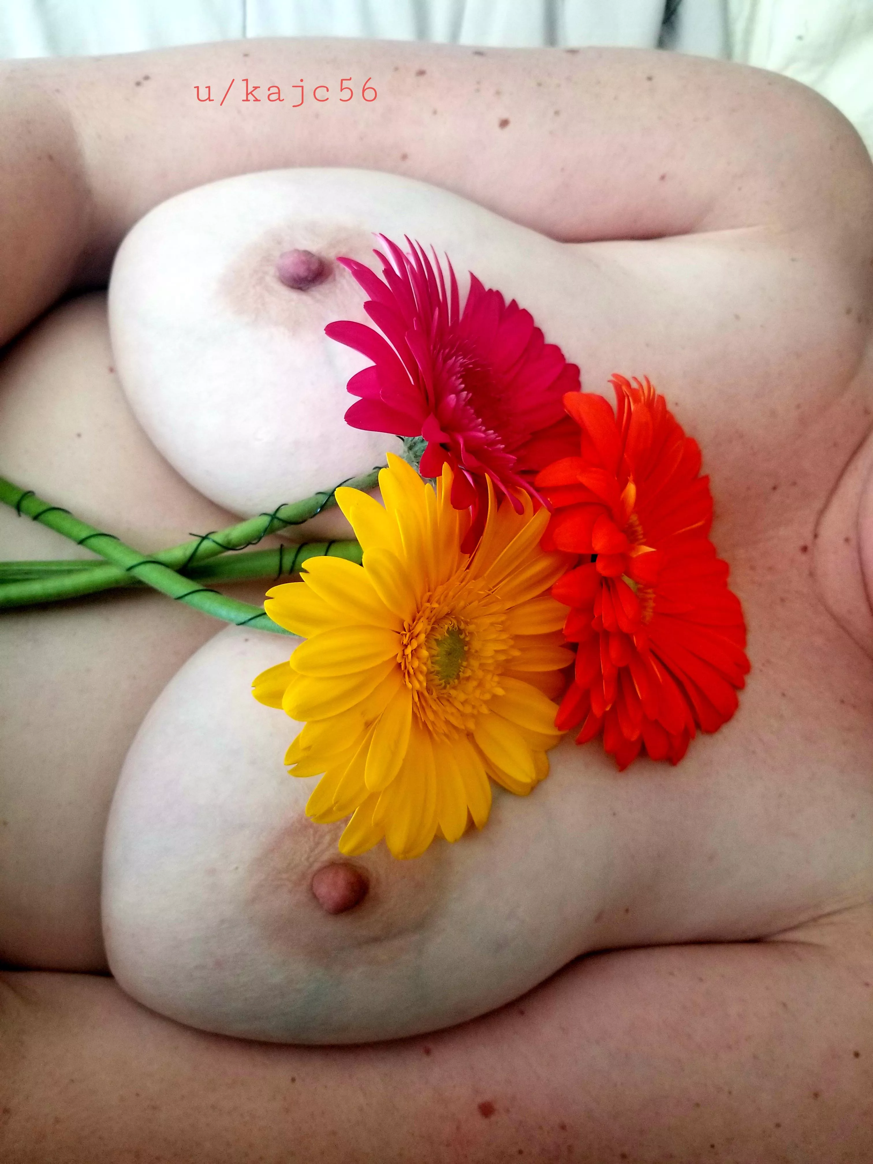 Titties and flowers. posted by kajc56