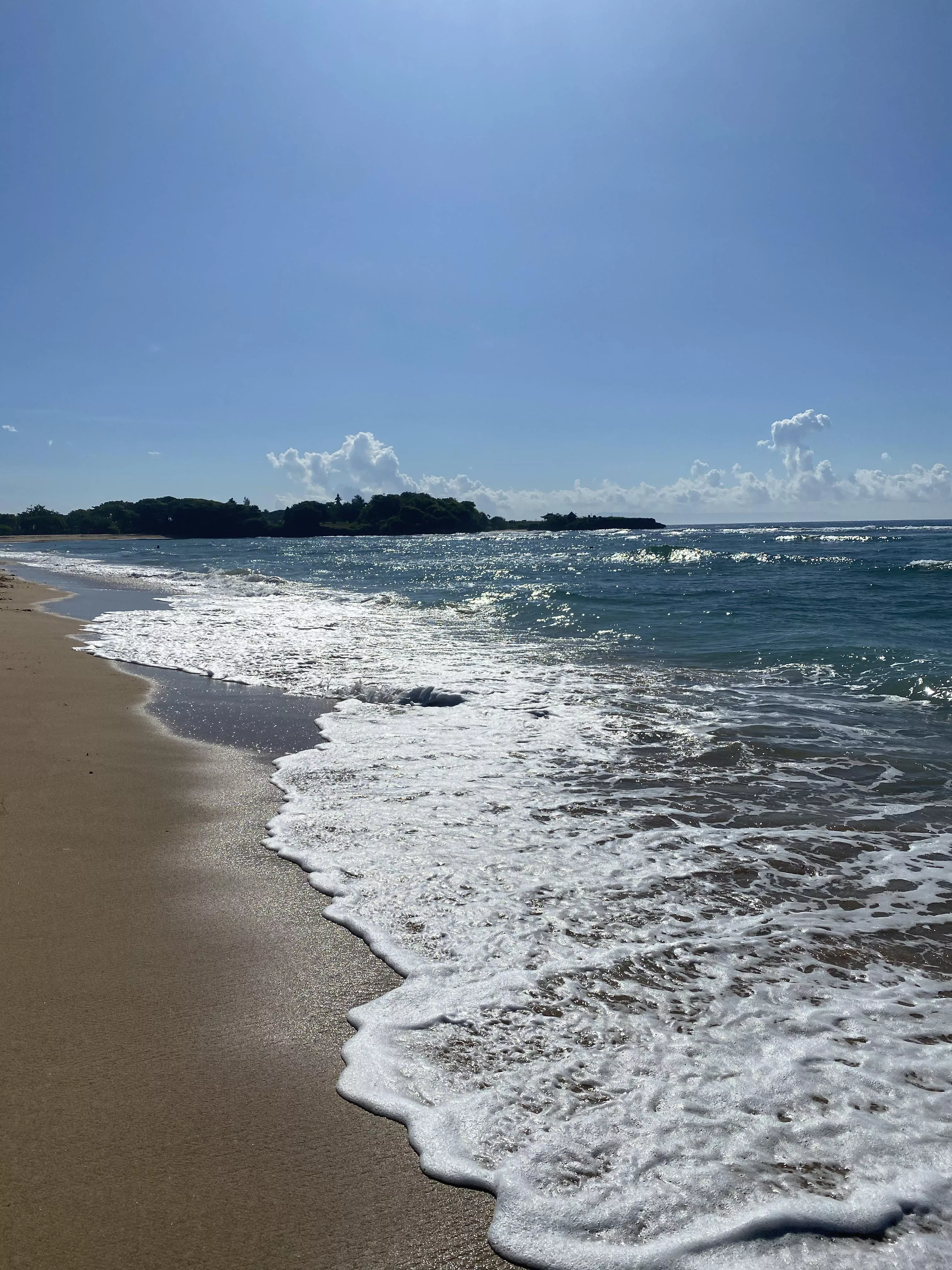 today’s beach day. posted by Daaandylion