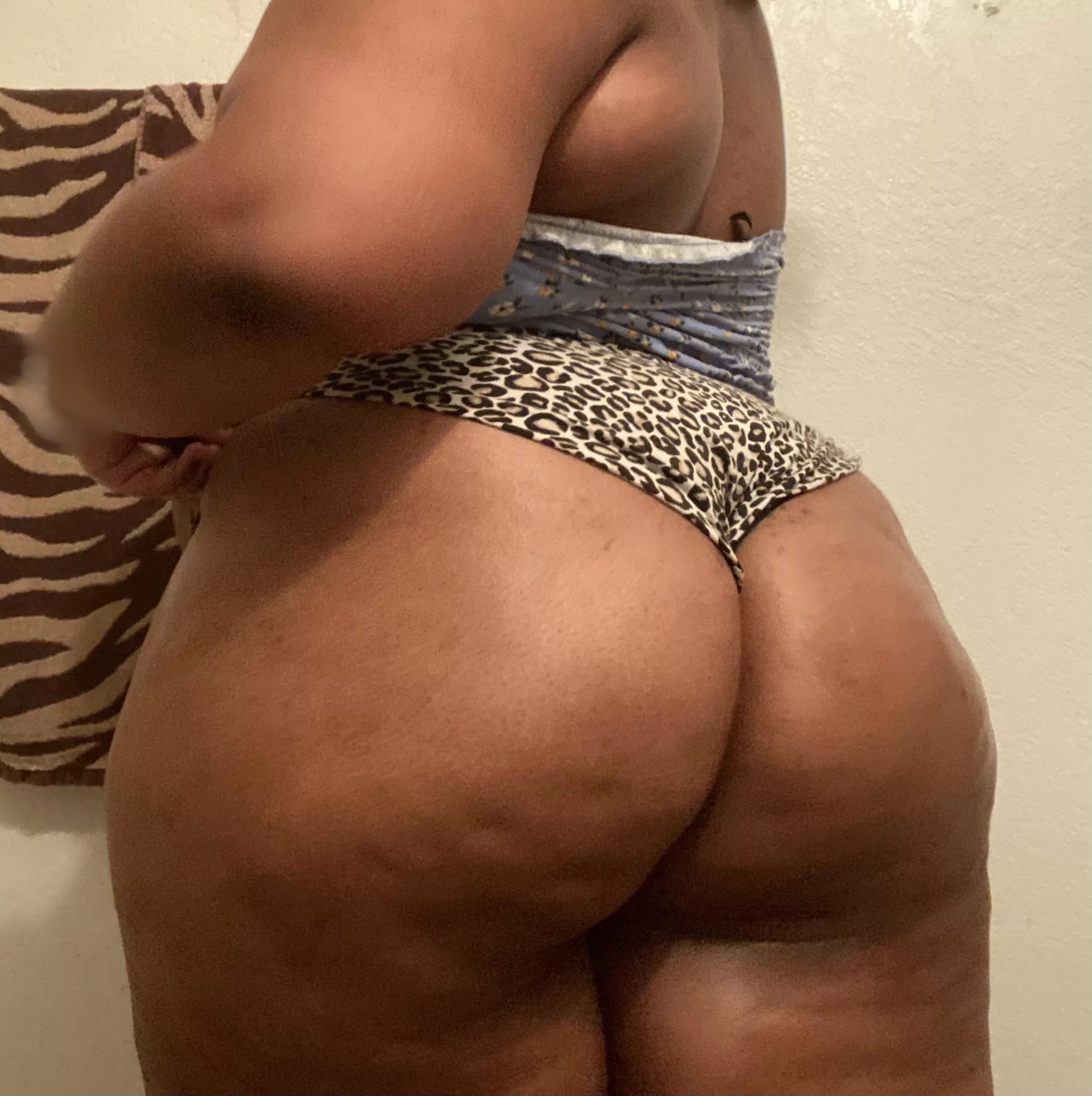 Too much ass or too little? posted by giapia1