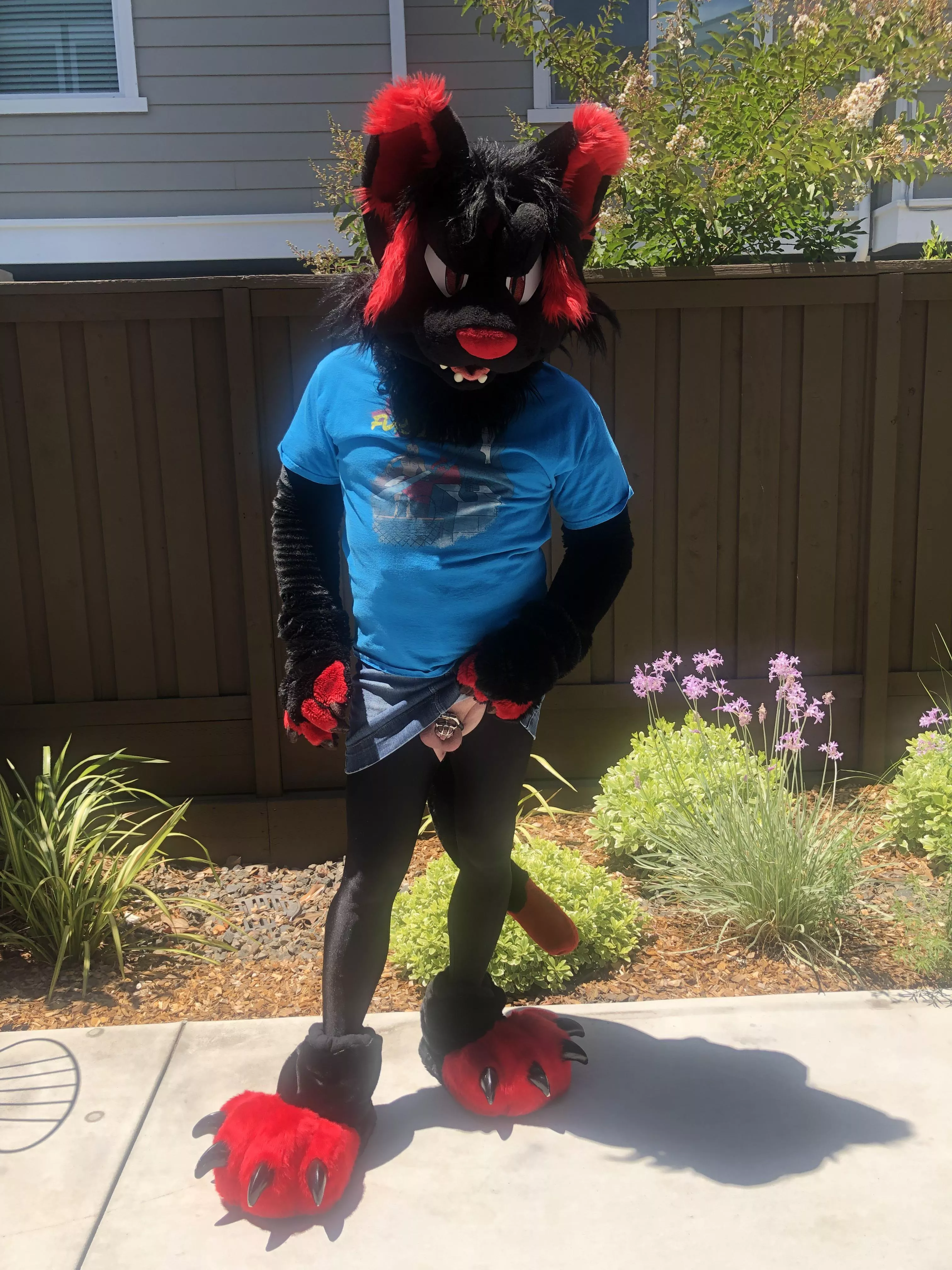 Took some pics for [m]y fursuit's 5th birthday; had to sneak some lewds in too. posted by mtvcodemonkey