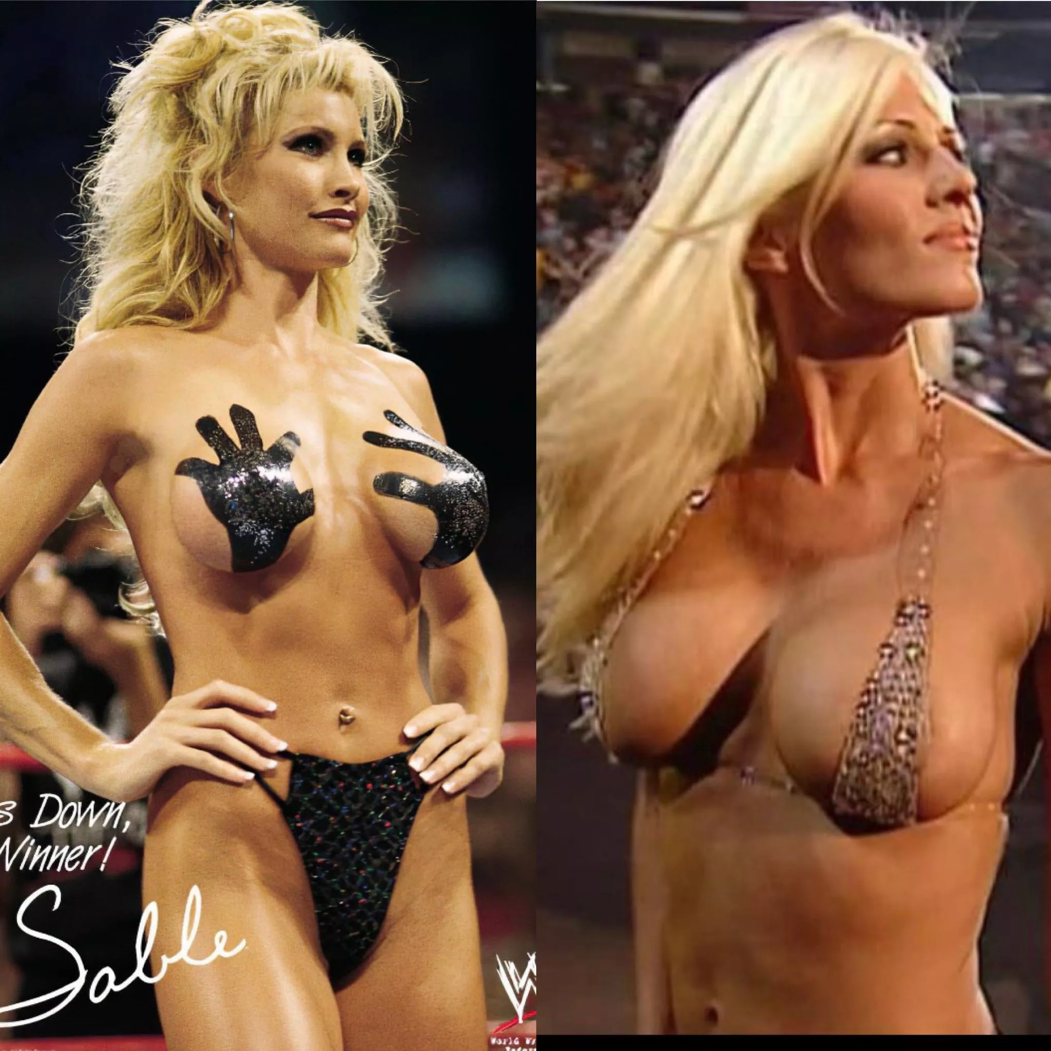 Torrie vs Sable top shelf was an all time debate posted by ballyval