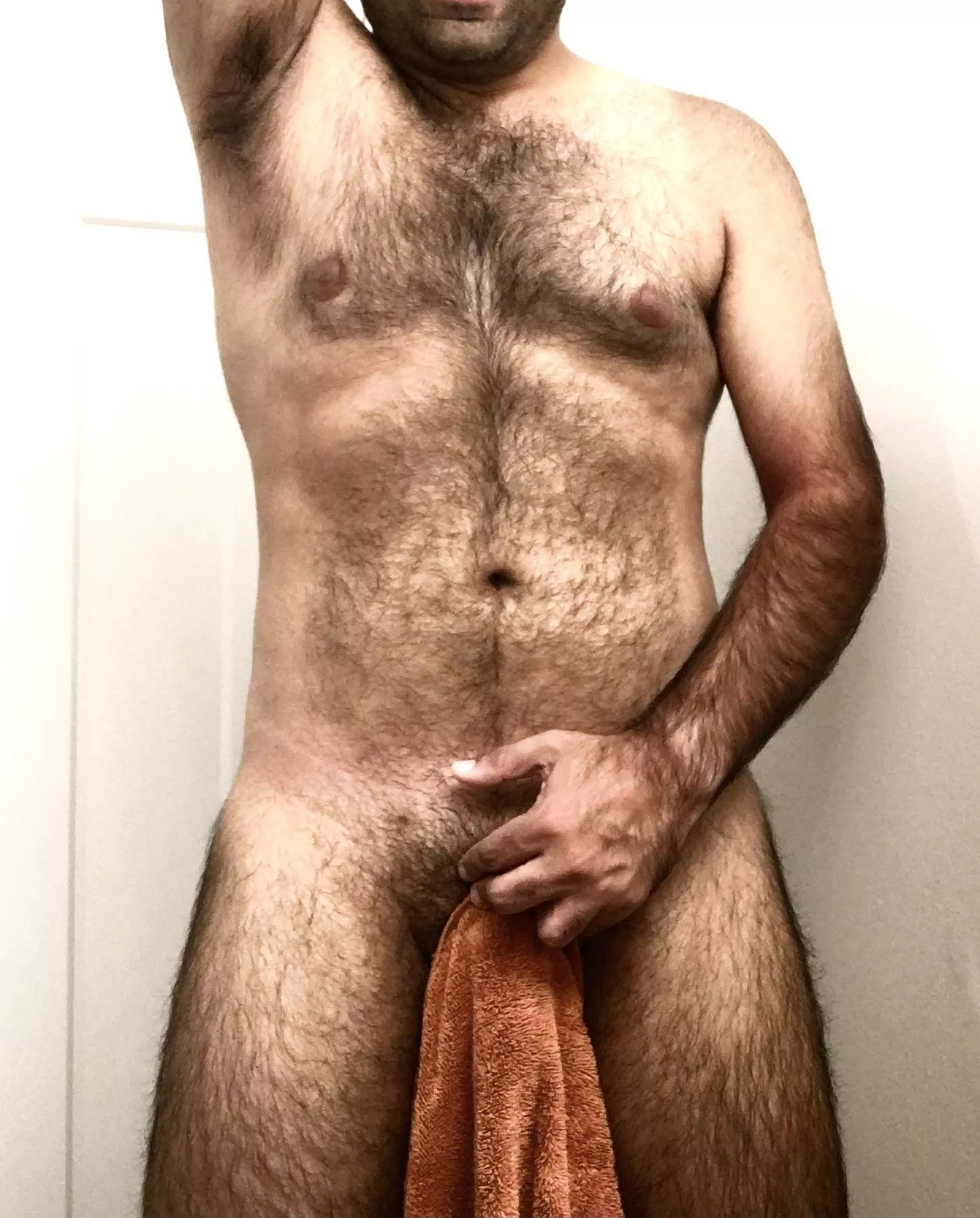 Towel Tuesday, anyone? posted by Rybrady1230