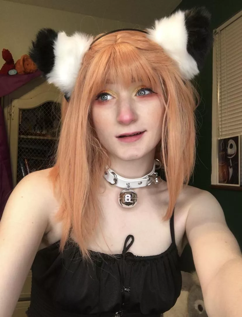 ((Trans he/him pls)) Meow meow~ just a fem boy posted by Cutekawaiiboi