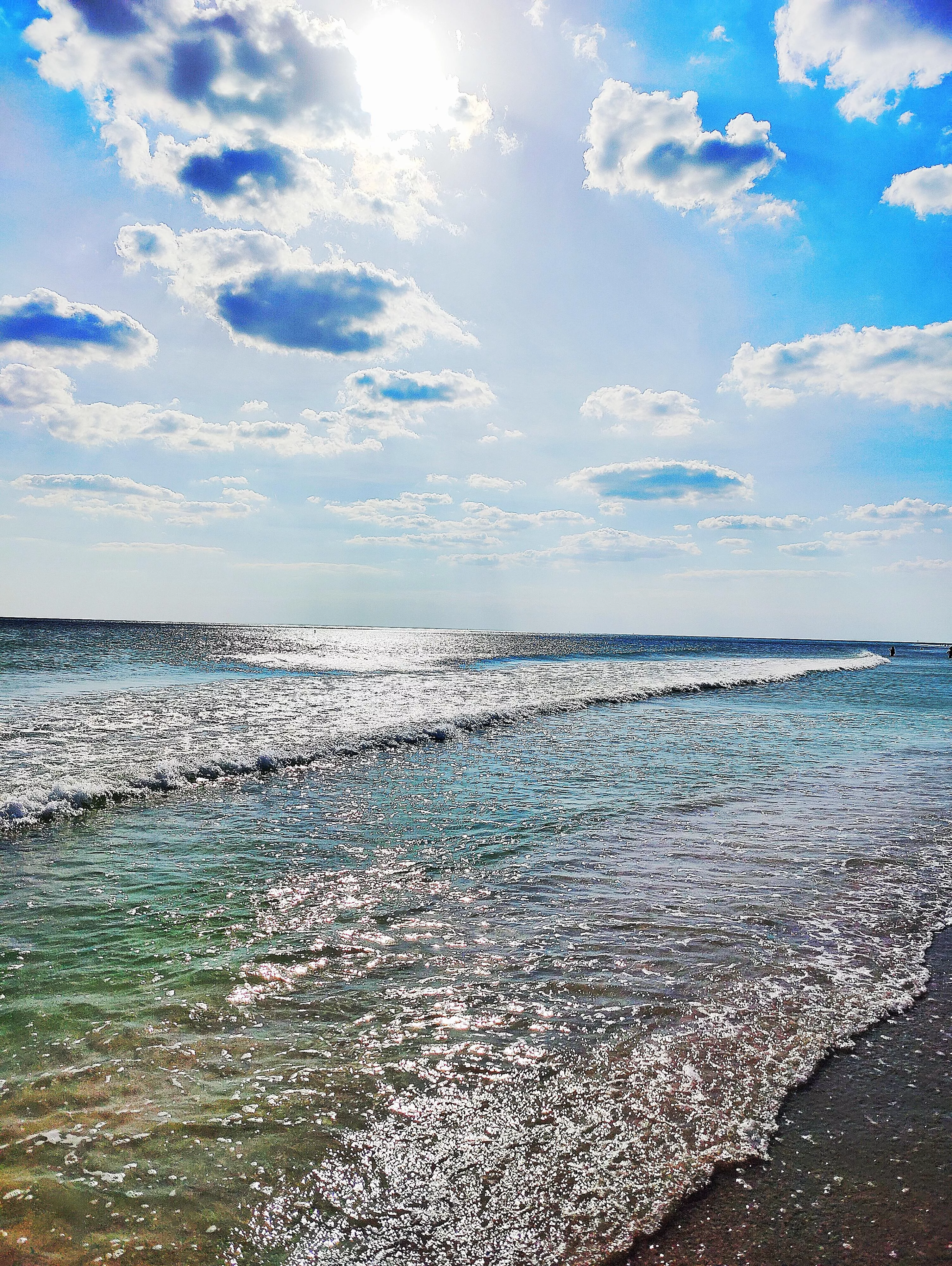 Treasure island, Florida posted by madurosnstouts