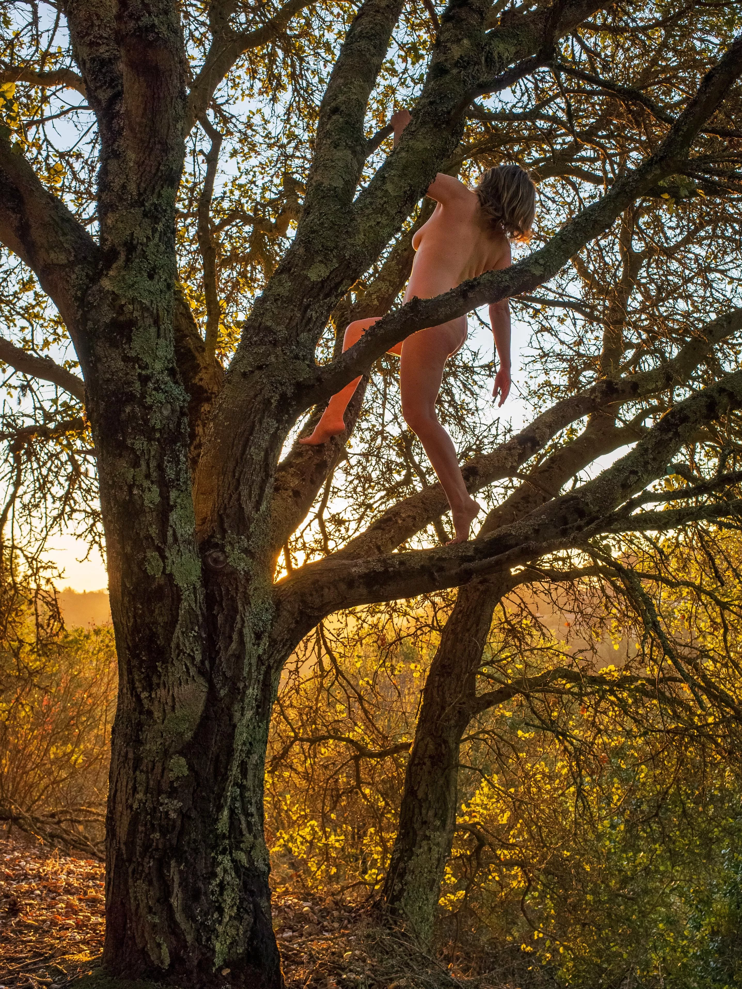 🌳Tree Pose Tuesday🌳 posted by baylaurelphoto