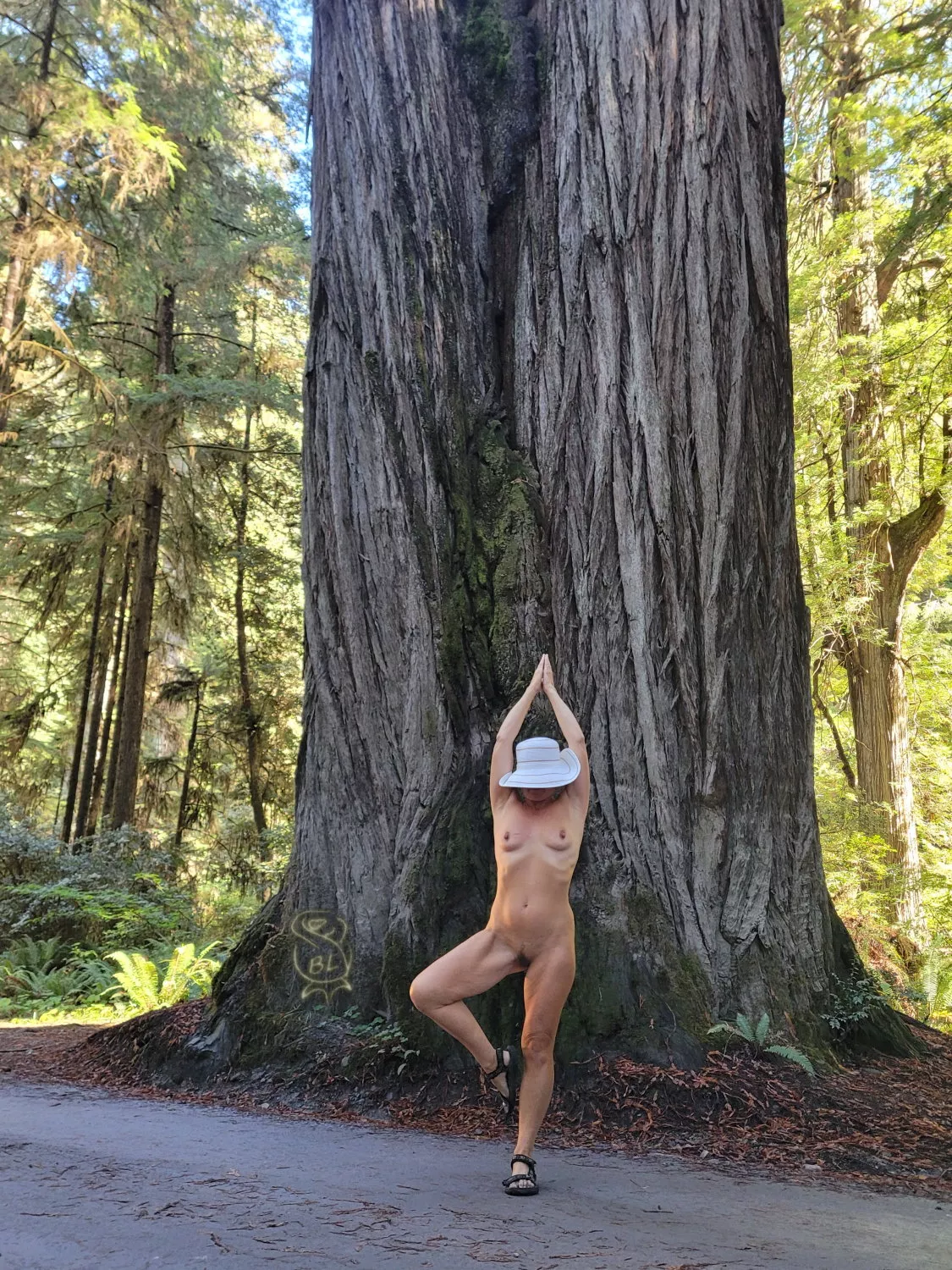 Tree Pose Tuesday posted by BareLeiaRose