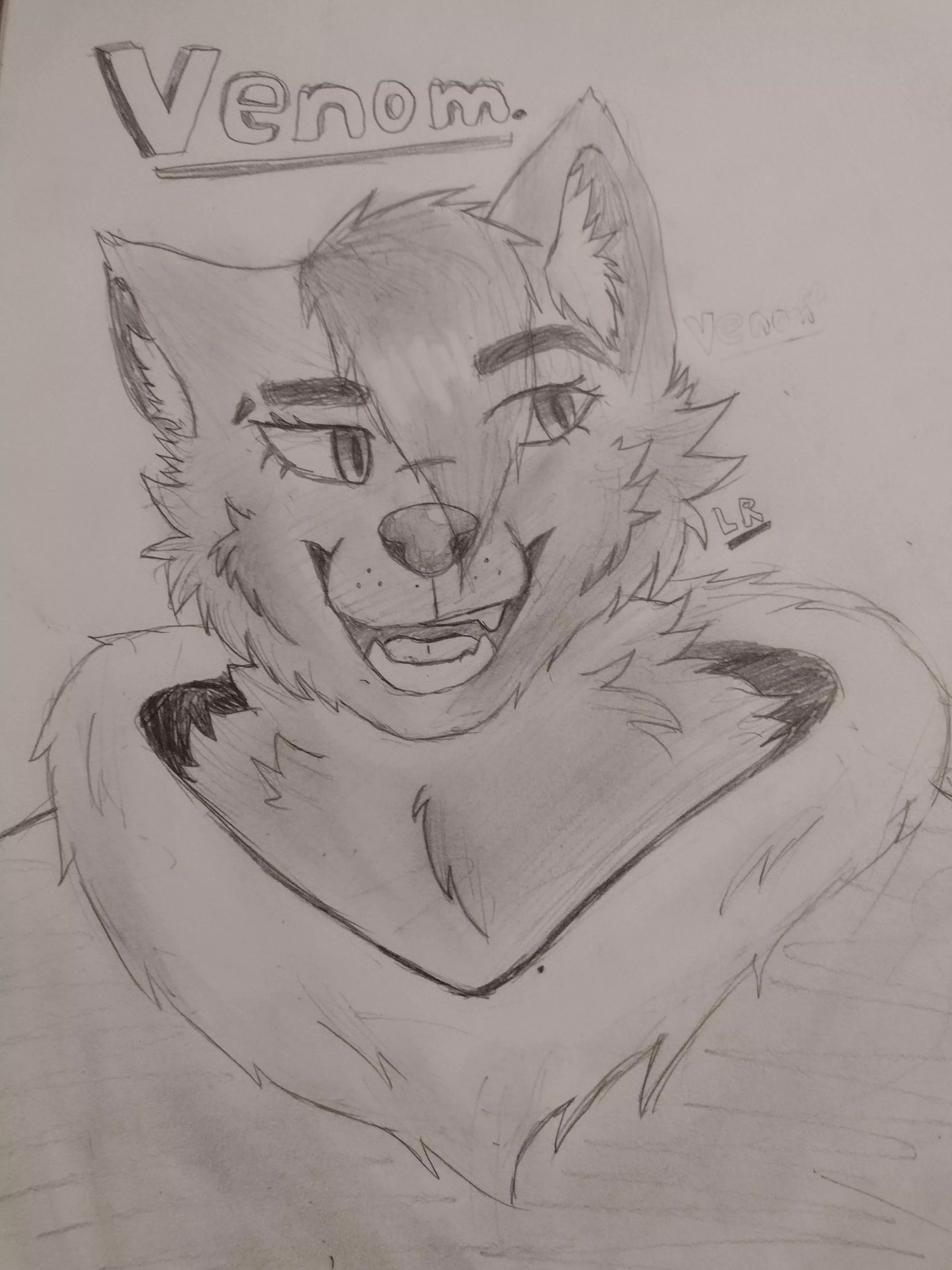 Tried to draw my fursona after a long time of not drawing furries, feels good to draw them again. Art by me. posted by Realkitty529