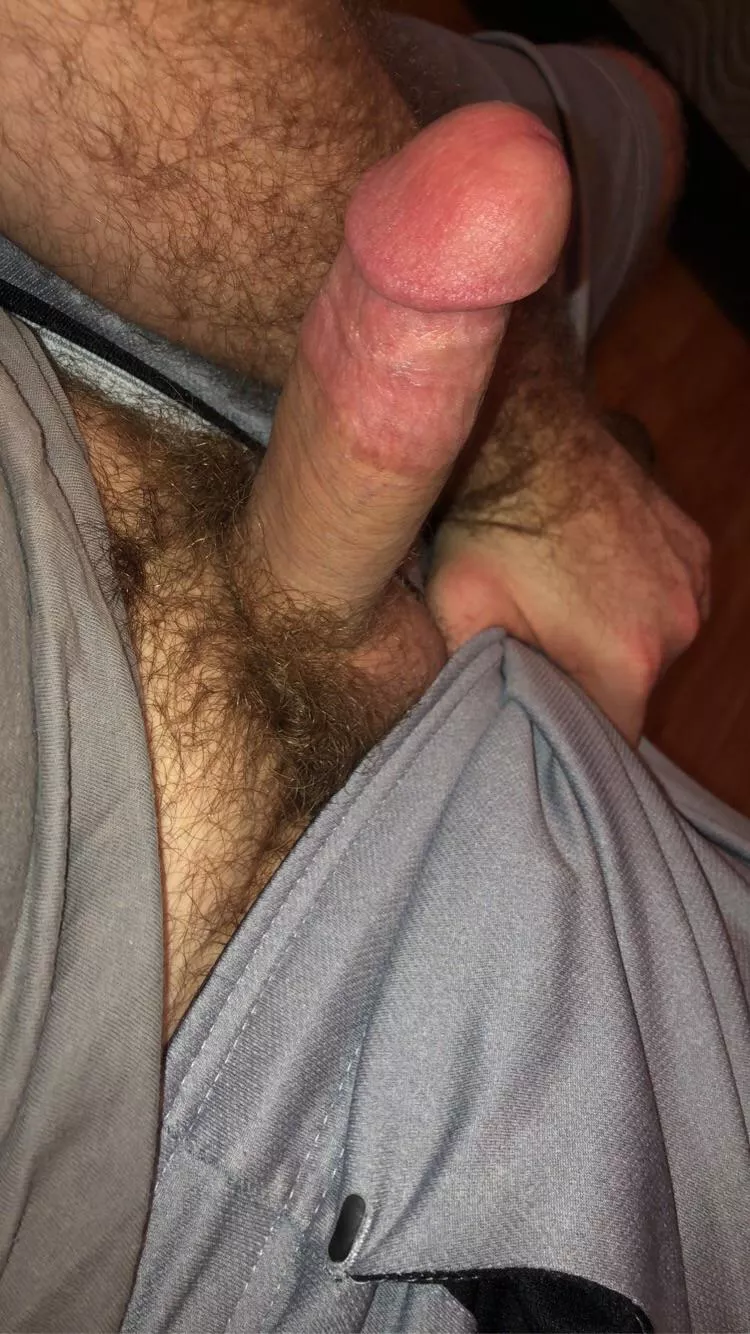 Trimmed for a guy that turned out to be a loser while ago, but thankfully they’re almost all back ;) posted by ListedGravel