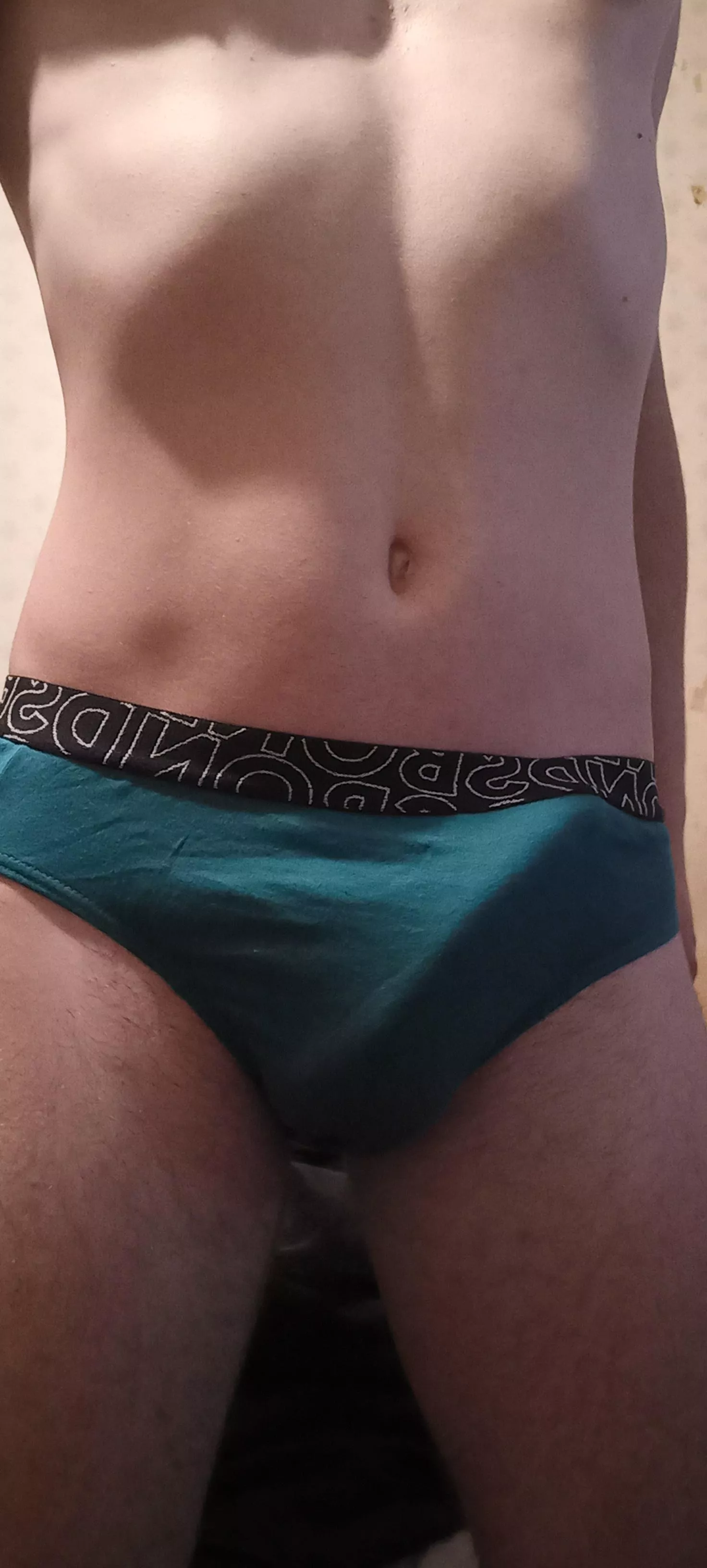 Trying on briefs... do I suit them? posted by randomhuman3322