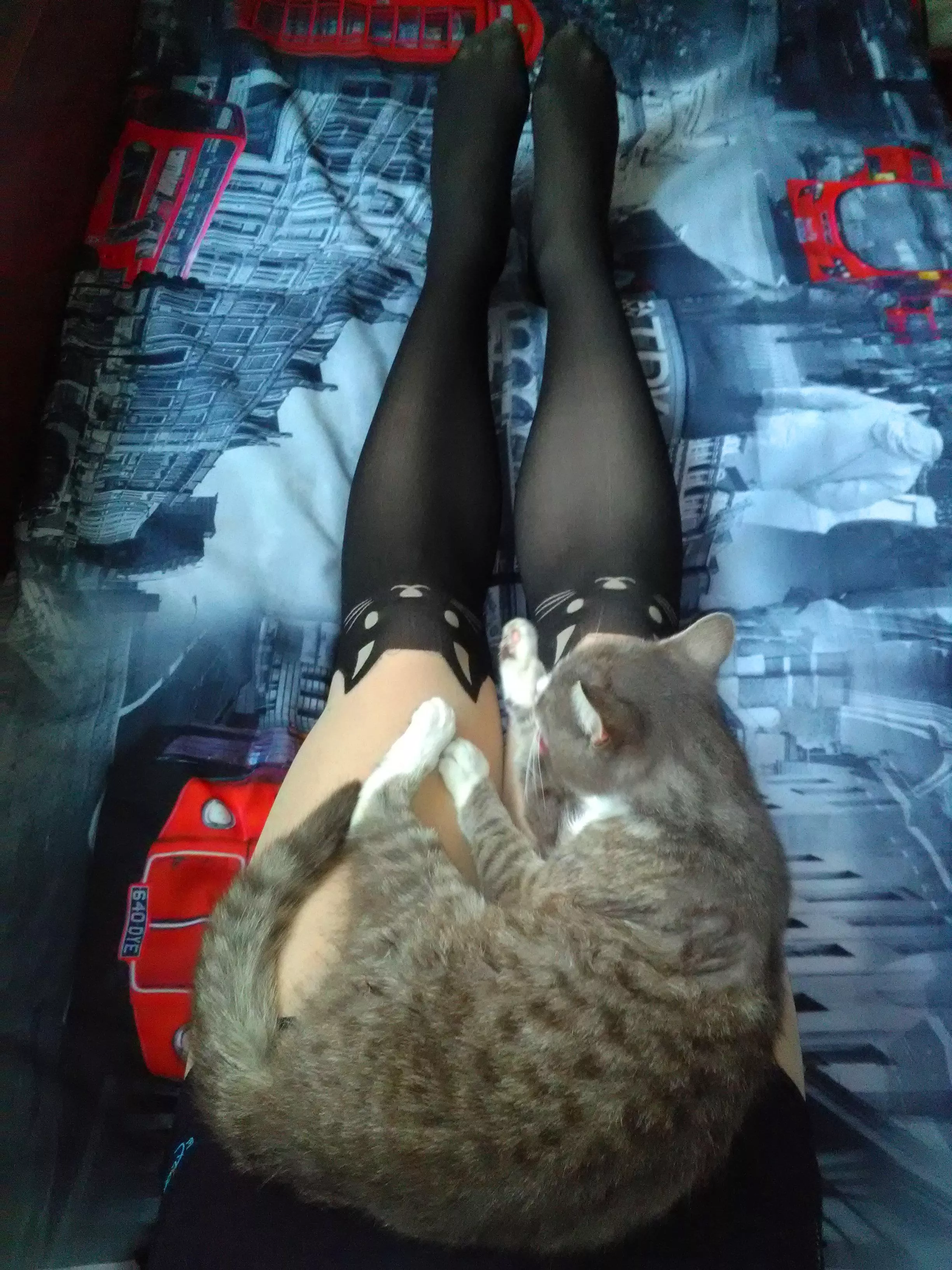 Two cat socks, a cat and little bit lonely catboy on this rainy fall day posted by CyberW01f