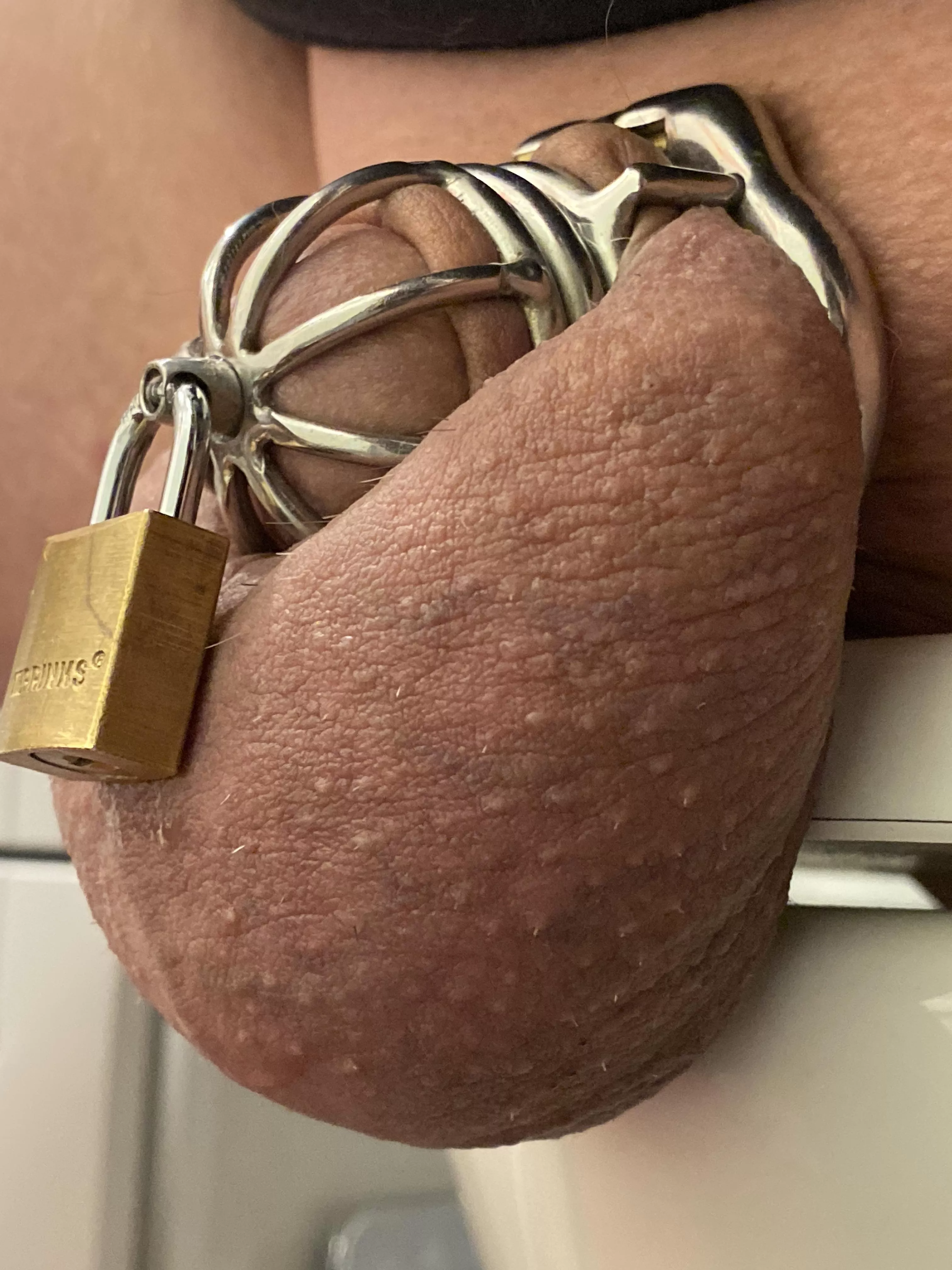 Two years of chastity play gone by, starting 3rd year with urethral spout lock from Ternence to keep from pulling out back of cage. KH lets me take spout key for now as we see how long a urethral device can last for me without major irritation. On 3rd da posted by Leftsaidfredrick