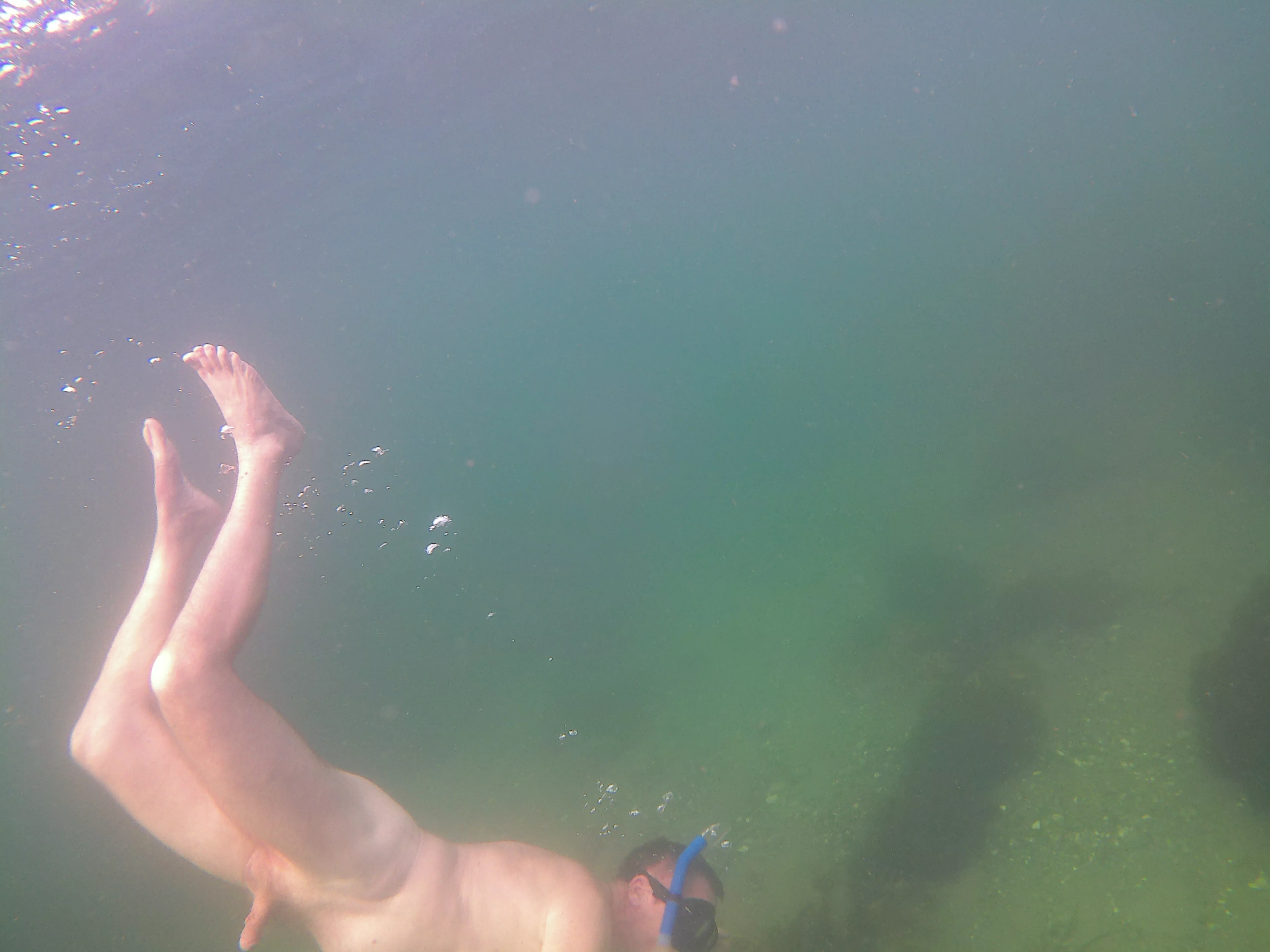 Underwater selfies are really difficult posted by Temporary-Ad4509