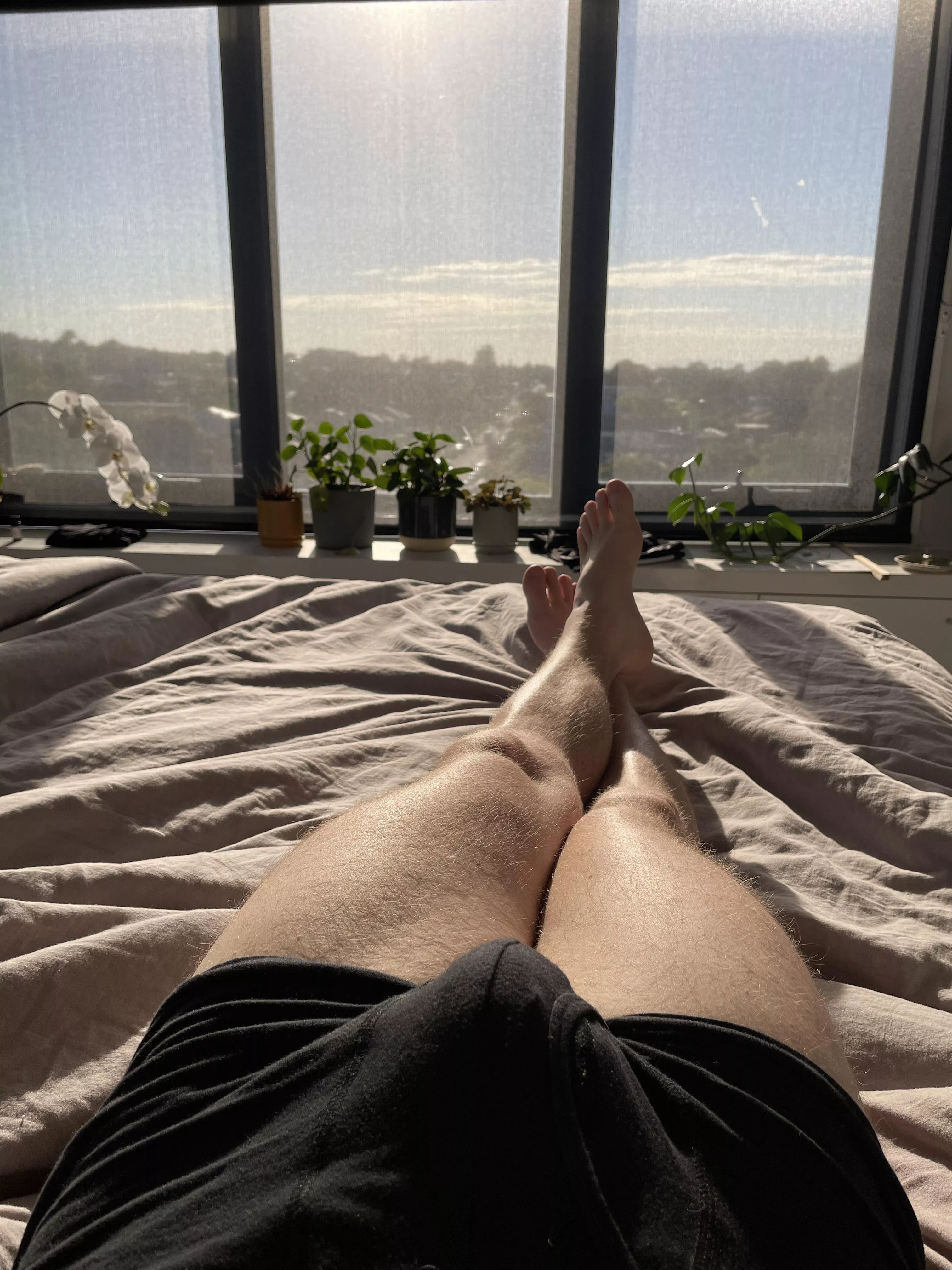 Underwear in the morning sunshine posted by OLB23