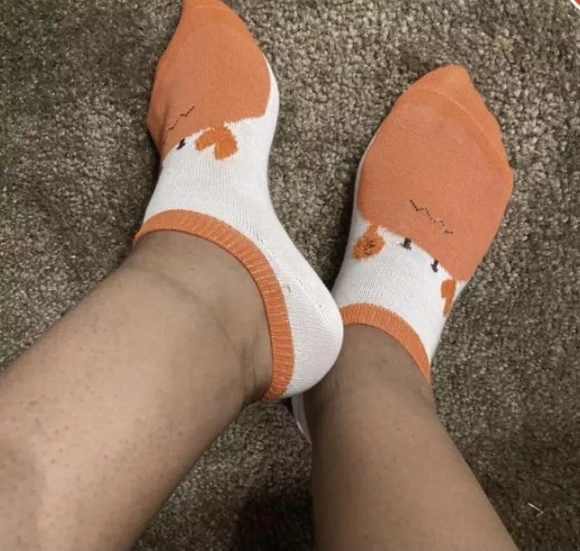 used stinky socks, US shipping only, I have plenty other styles and colors in my sock drawer, just ask. Kik leahboucher posted by mika7276