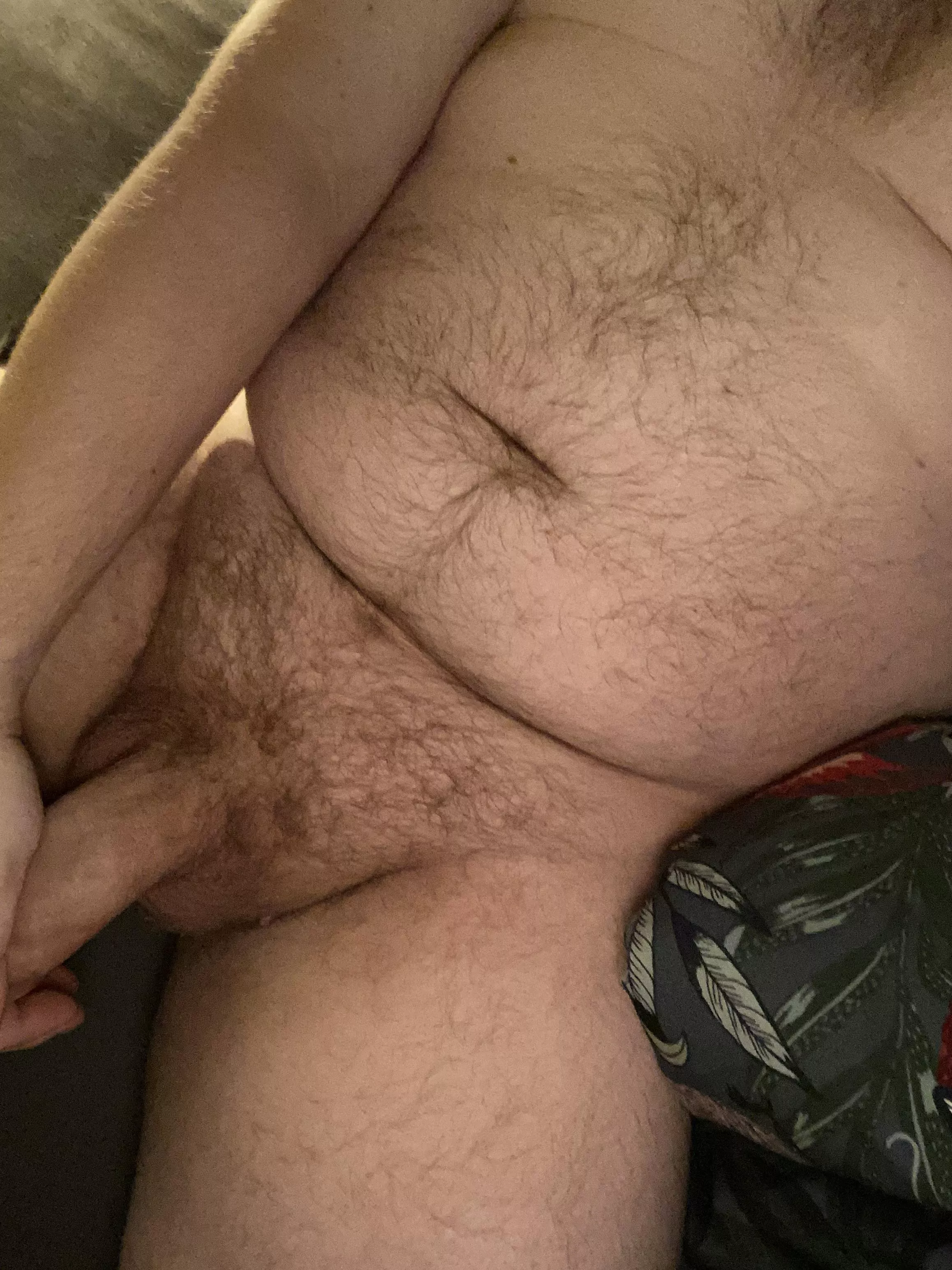 Verbal dom bear daddy for kinky sub guys! posted by flow11897