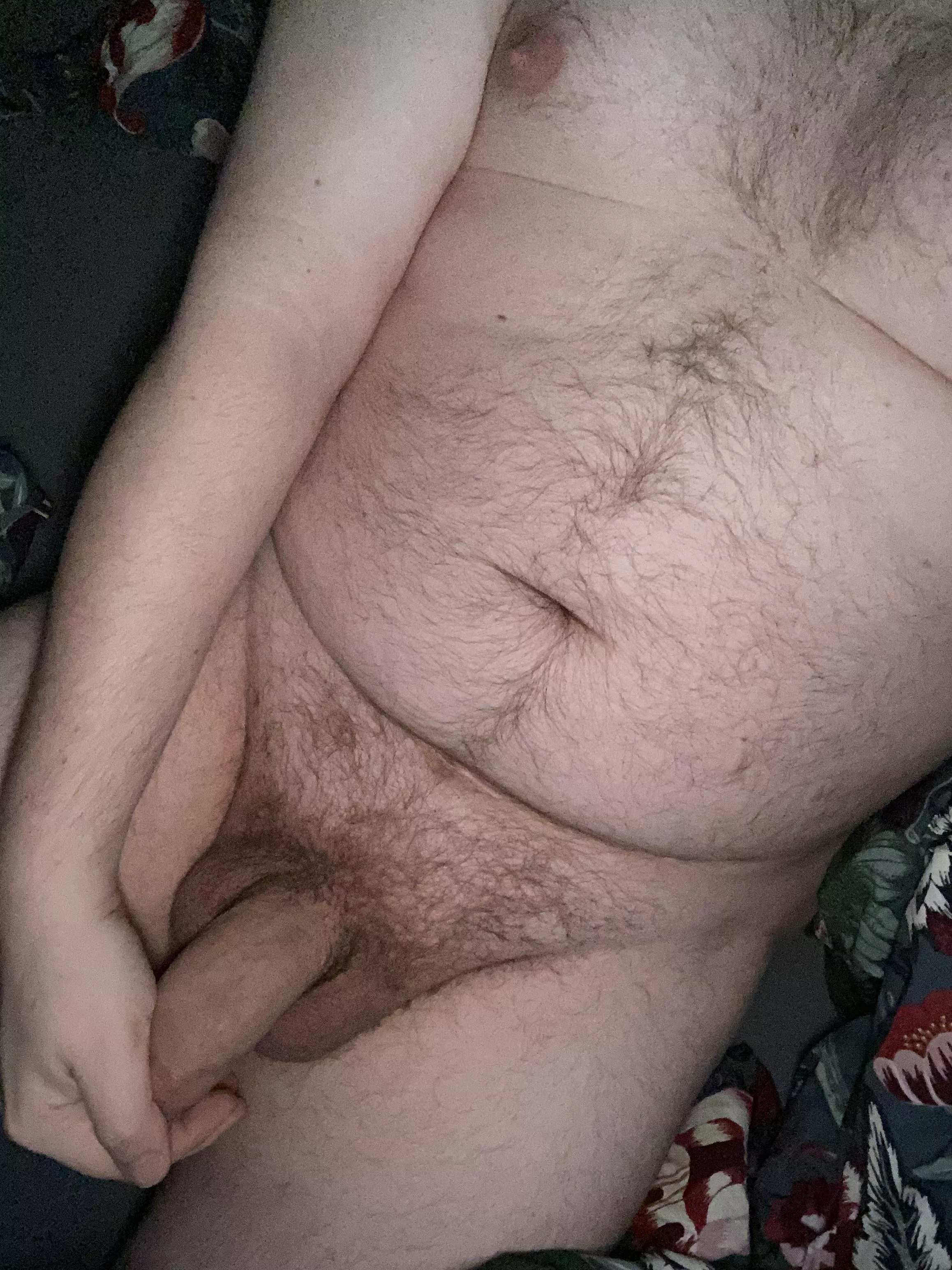 Verbal dom bear daddy for kinky sub guys! posted by flow11897