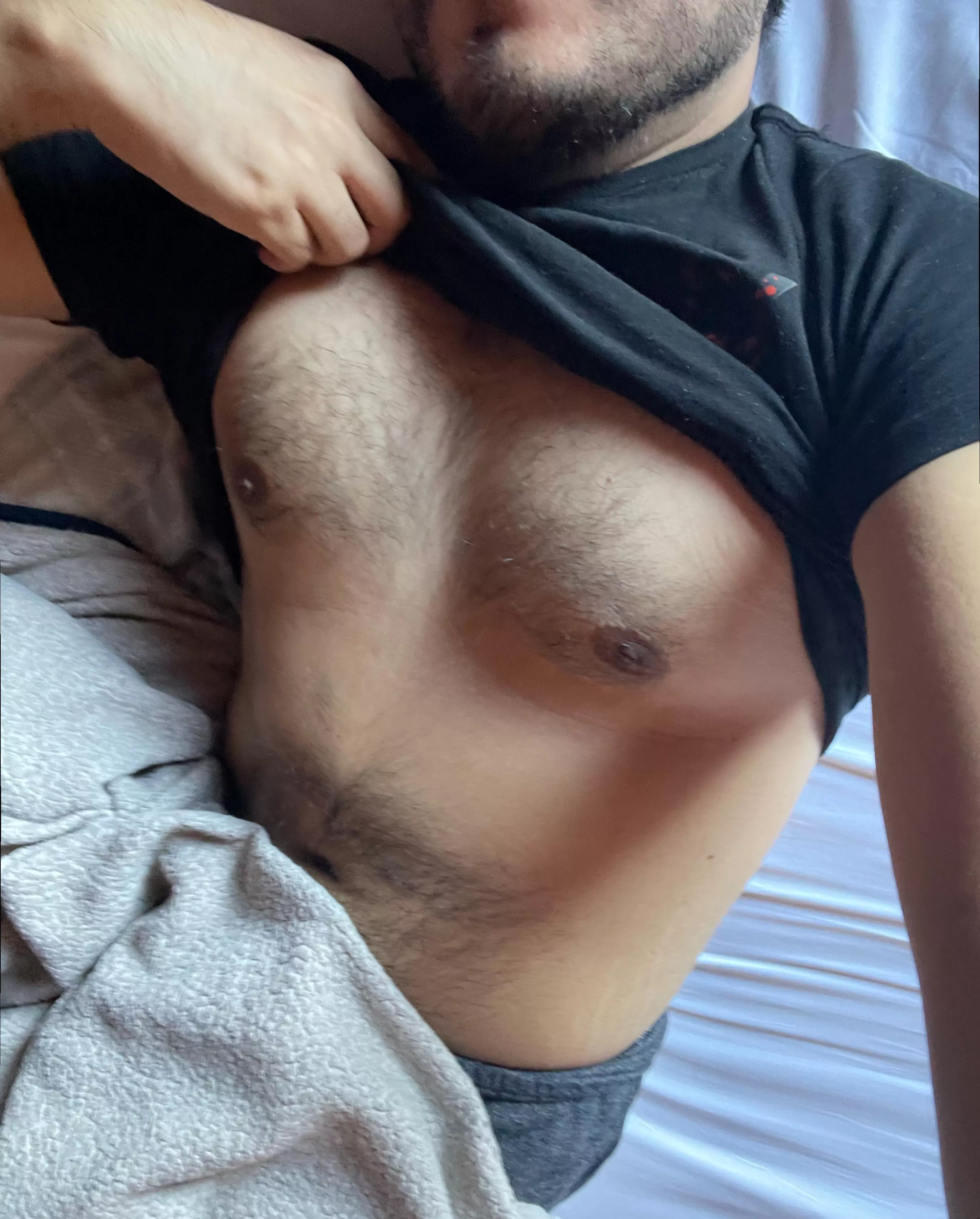 Very hot rn, I need someone to suck these hairy man tits dry 🐮 posted by bearsej1