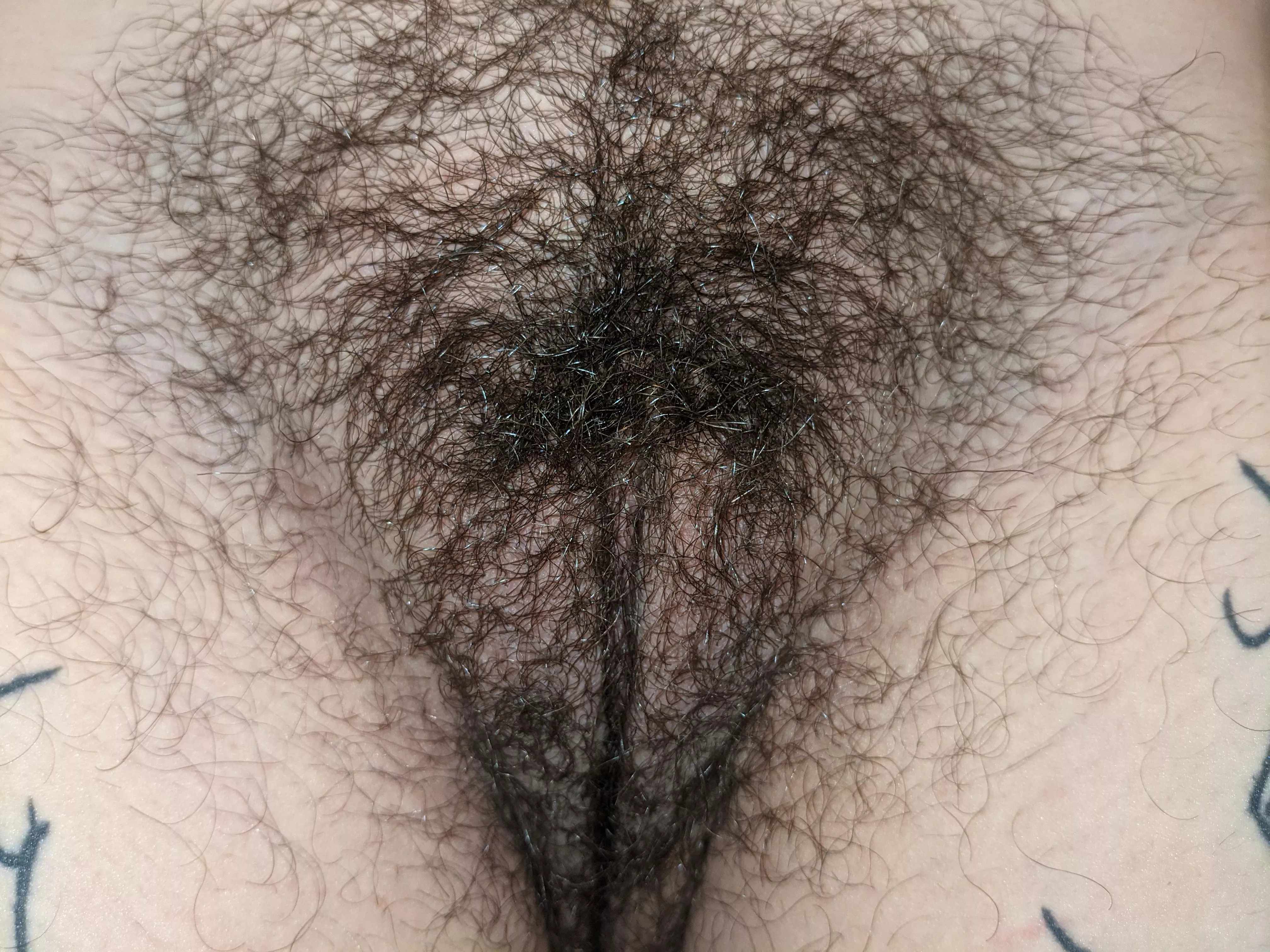 Very up close of my pretty hairy pussy. What would you do to it? [Oc] [f] posted by Blueocularfiend