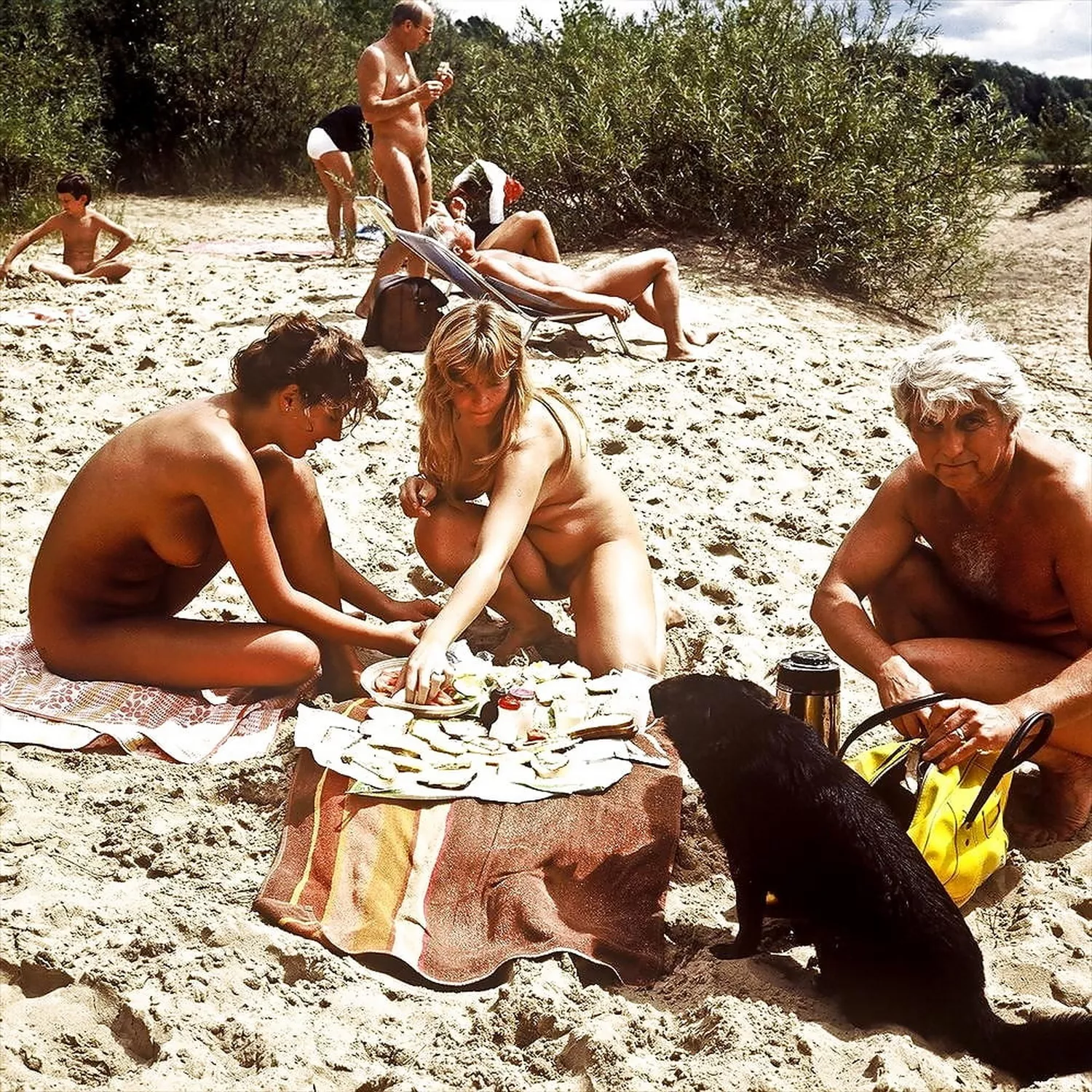 Vintage: Picnic on the beach. Food's not for you, dog! posted by bobettebobqc