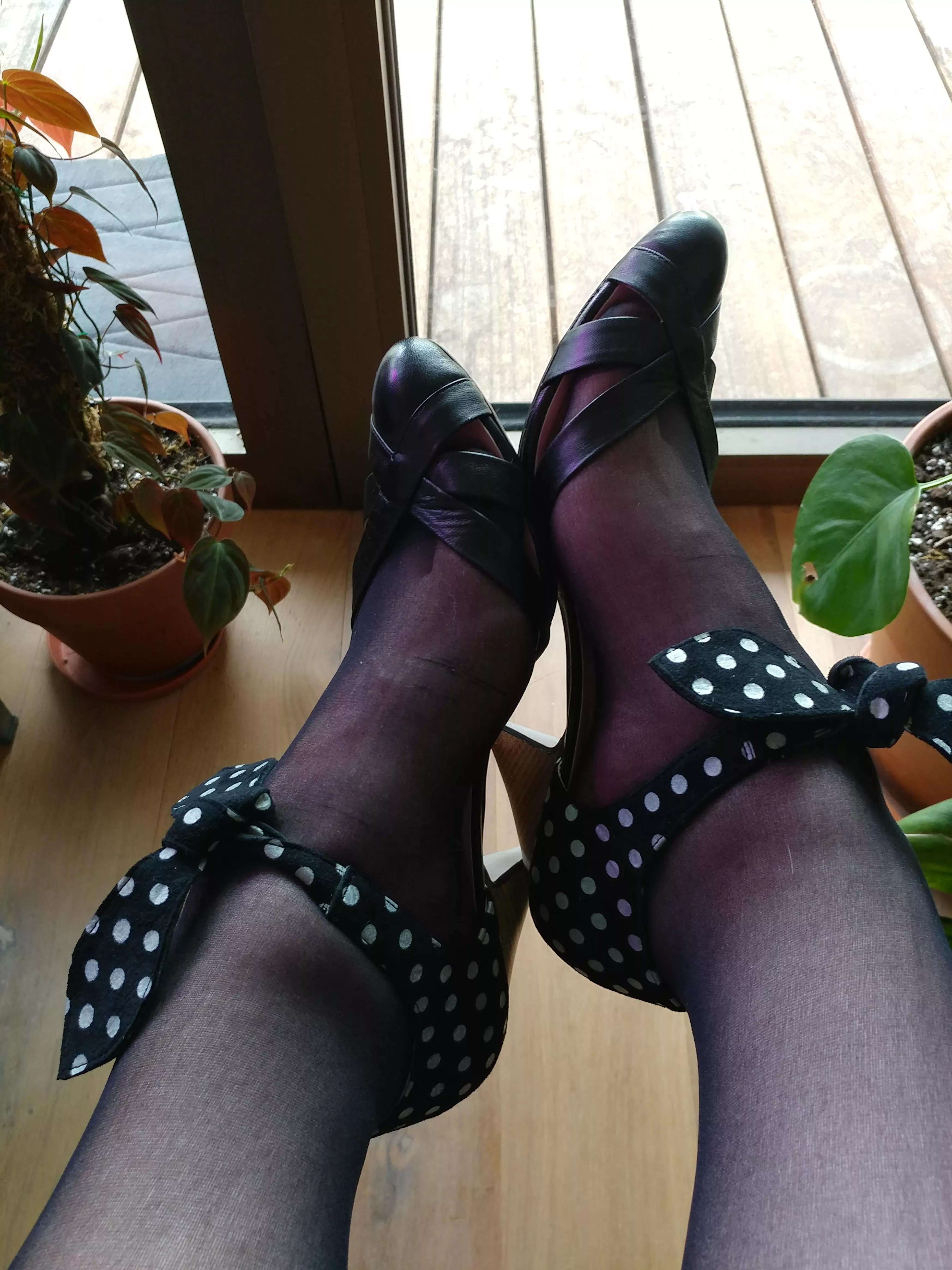 Vintage style heels with sheer nylons :) excuse the purple light - it's the grow lights for my plants! posted by curlykatiecupcakes