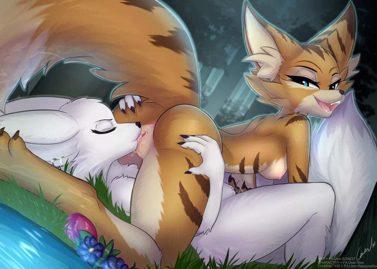 Vulpera Love [FF] (Son237) posted by OwO_Bot